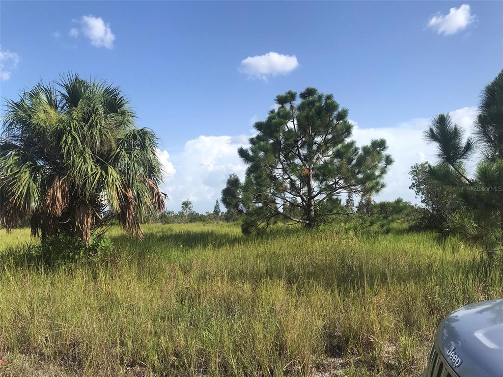 Punta Gorda, Florida, 33982, United States, ,Land,For Sale,1806148