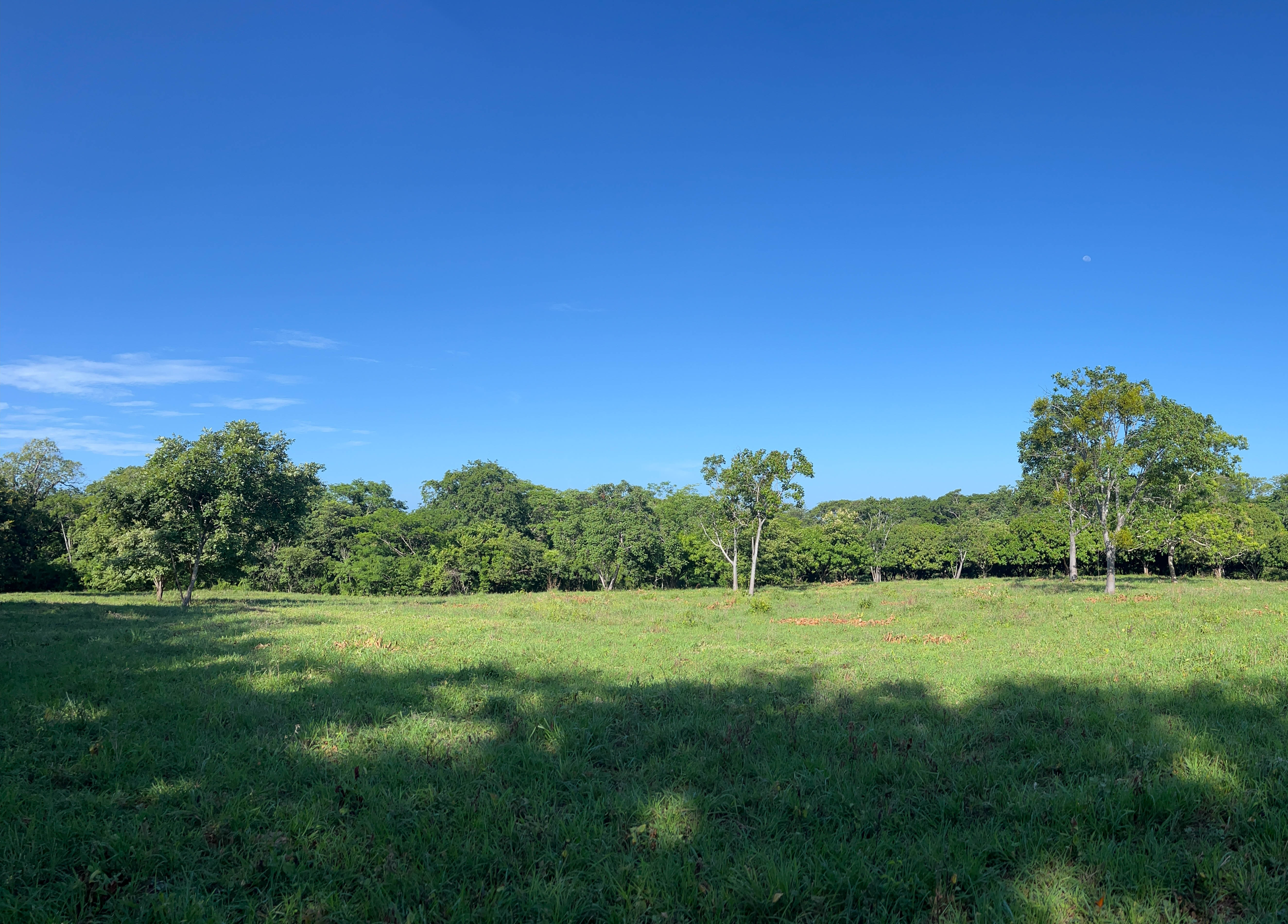 Avellanas, Guanacaste, CR, ,Land,For Sale,1707705
