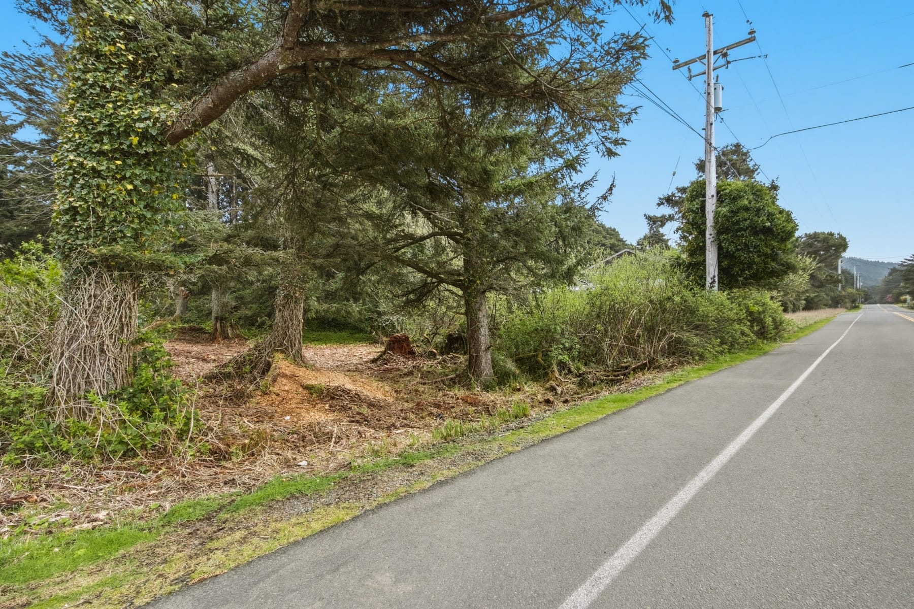  VL S Hemlock Cannon Beach, OR 97110 - 物件實景