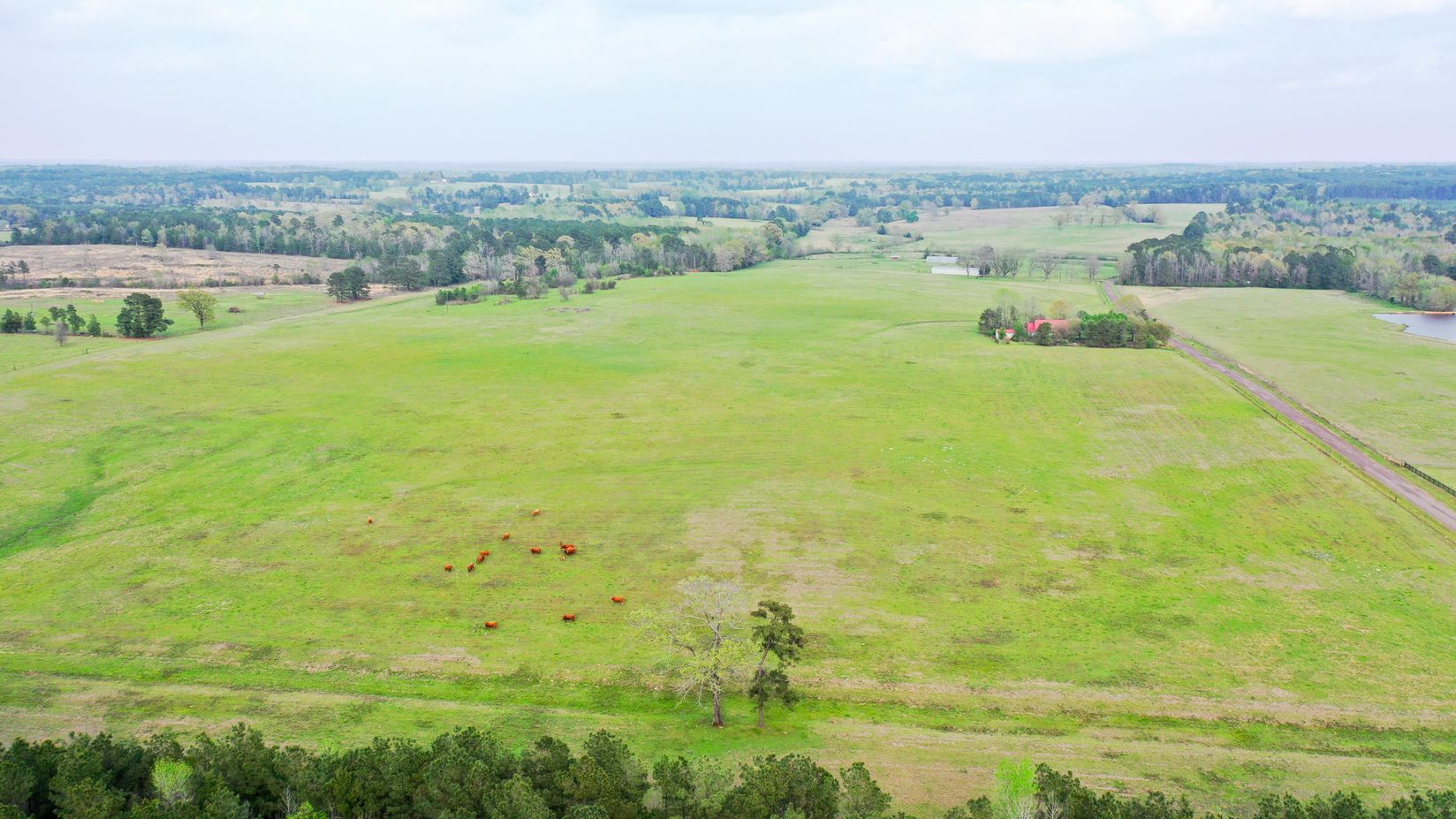 Bivins, Texas, 75555, United States, ,Residential,For Sale,1755933