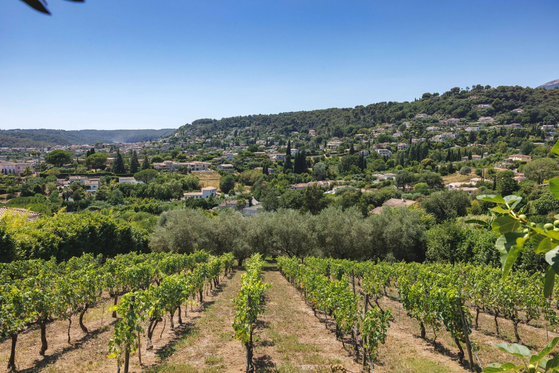 Saint-Paul-de-Vence, Provence-Alpes-Côte d’Azur, 06570, FR, 5 Bedrooms Bedrooms, ,Residential,For Sale,1895395