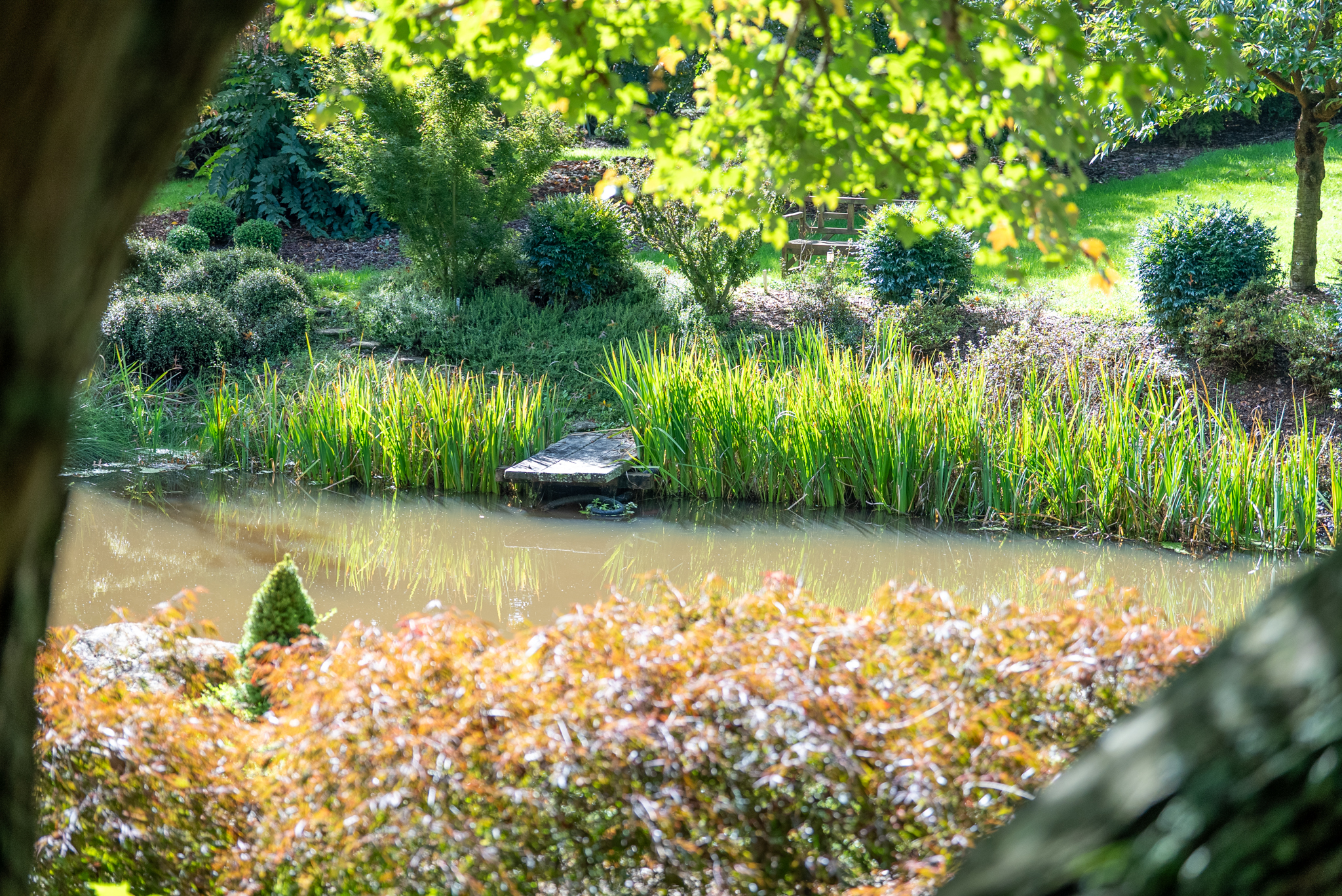  What Dreams are Made of and Memories are Made - 物件實景