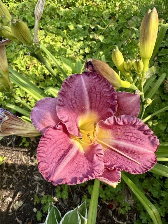 Bemidji, Minnesota, 56601, United States, 6 Bedrooms Bedrooms, ,2 BathroomsBathrooms,Residential,For Sale,2000102