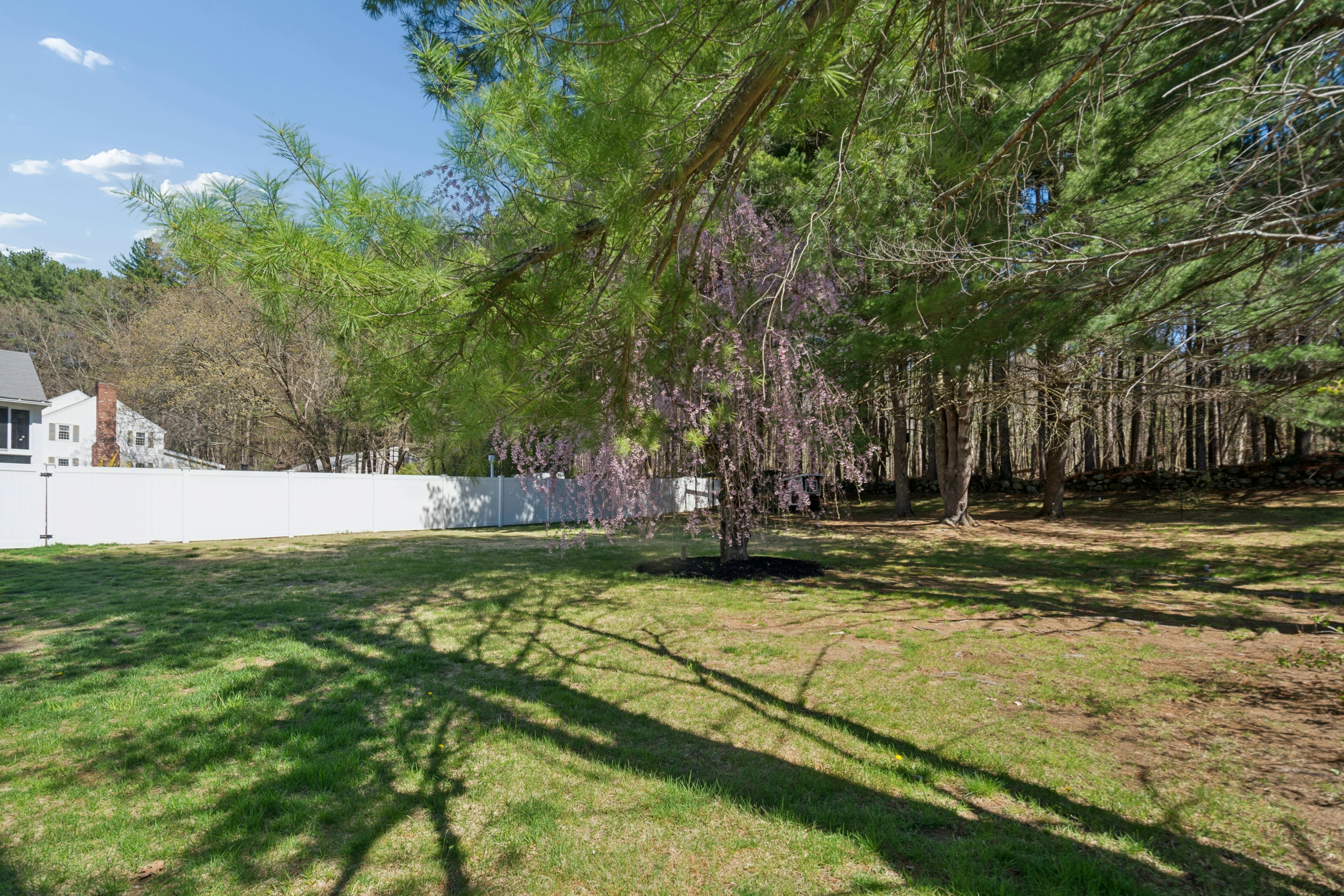 58 Minehan Ln, Marlborough, MA, 01752 - 物件實景