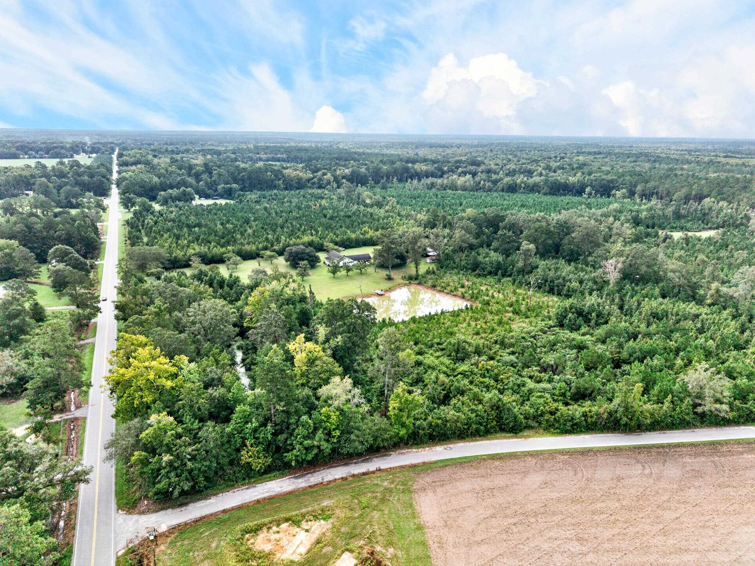 8812 Thurgood Marshall Hwy  Andrews, SC - 物件實景
