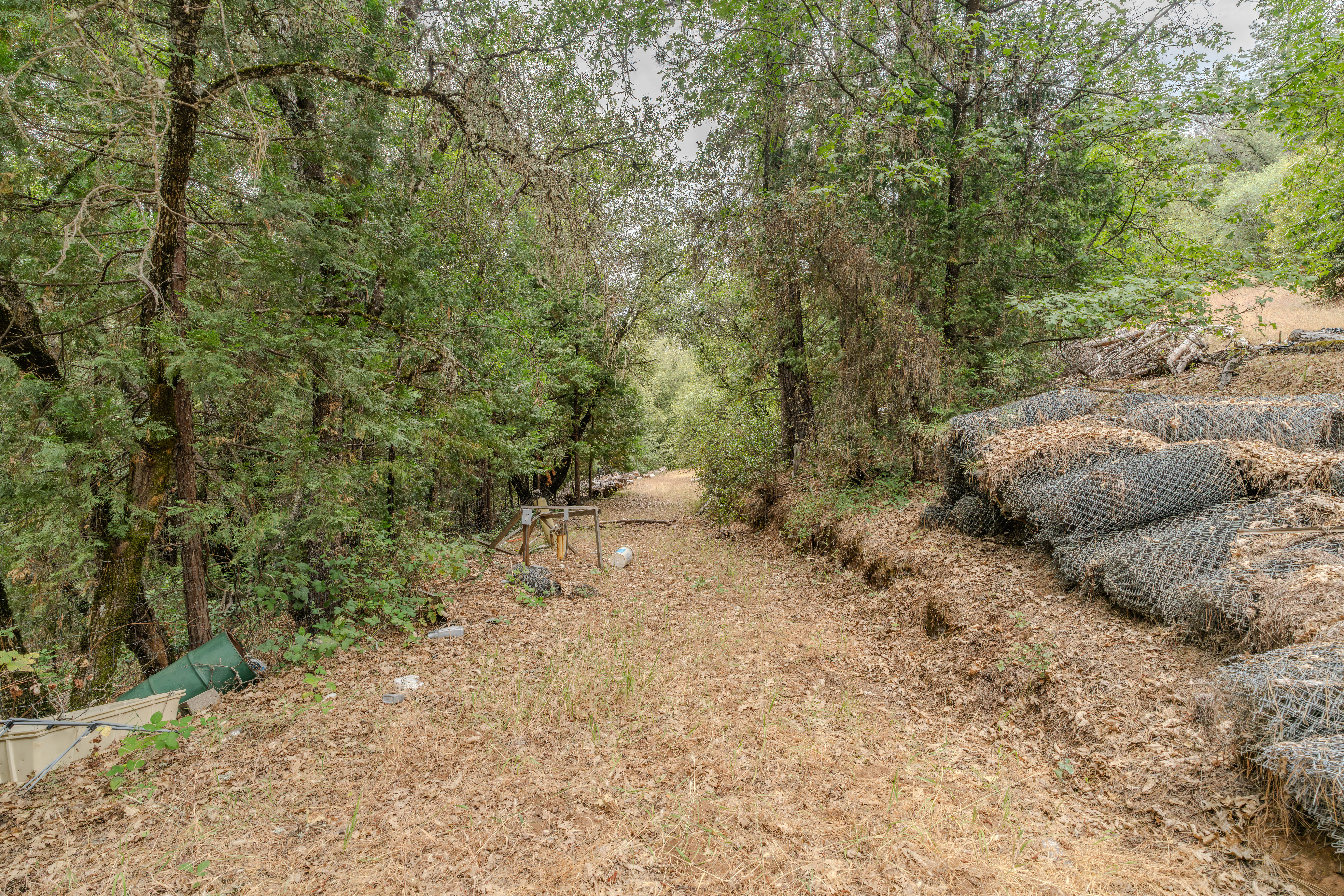  18101 Old River Road, Fiddletown, CA 95629 - 物件實景