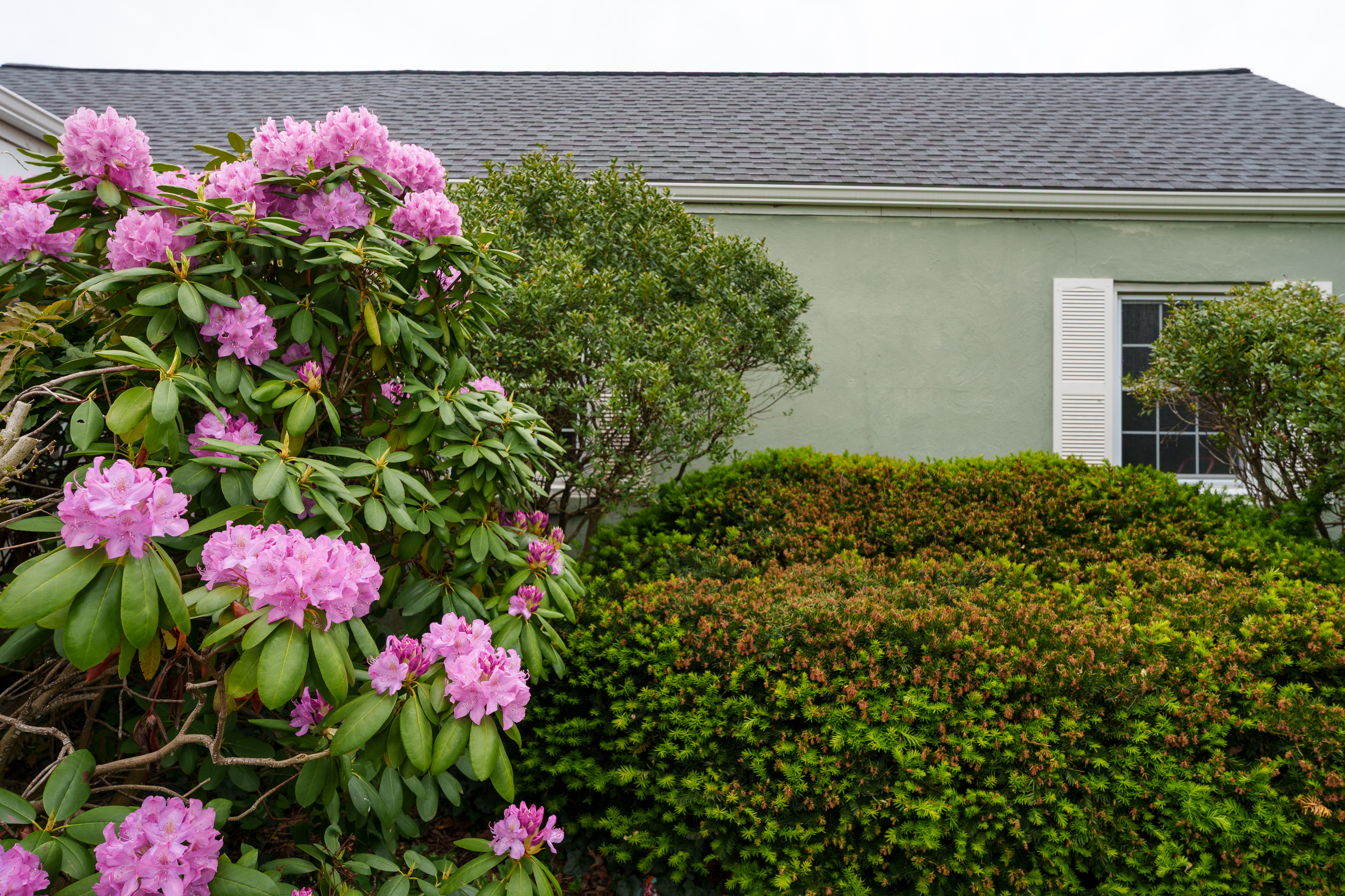  Well-Maintained Cape with Spacious Rooms and a Three-Car Garage - 物件實景