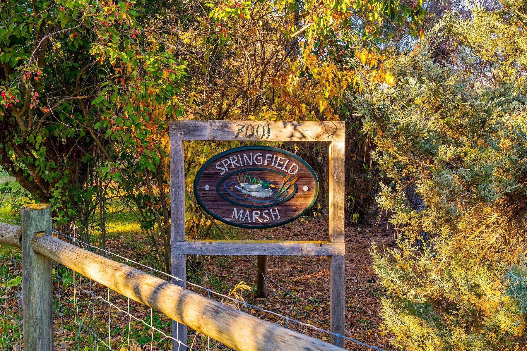  Welcome to Springfield Marsh - 物件實景