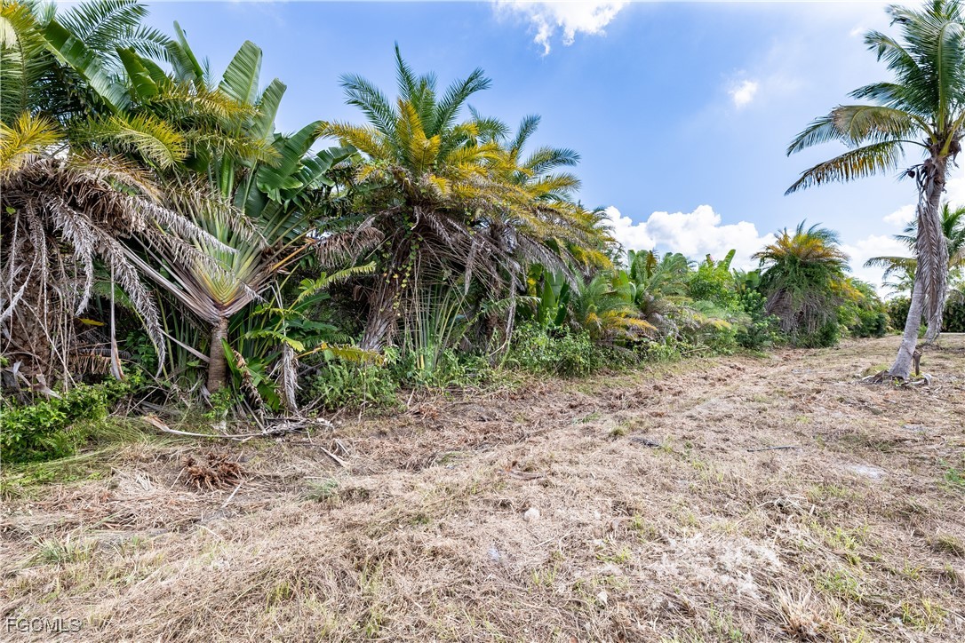 Bokeelia, Florida, 33922, United States, ,Land,For Sale,1980492