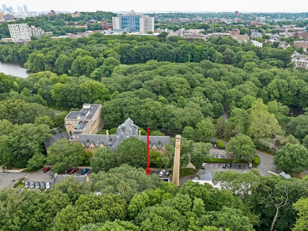 Brookline, Massachusetts, 02445, United States, 3 Bedrooms Bedrooms, ,2 BathroomsBathrooms,Residential,For Sale,1891424