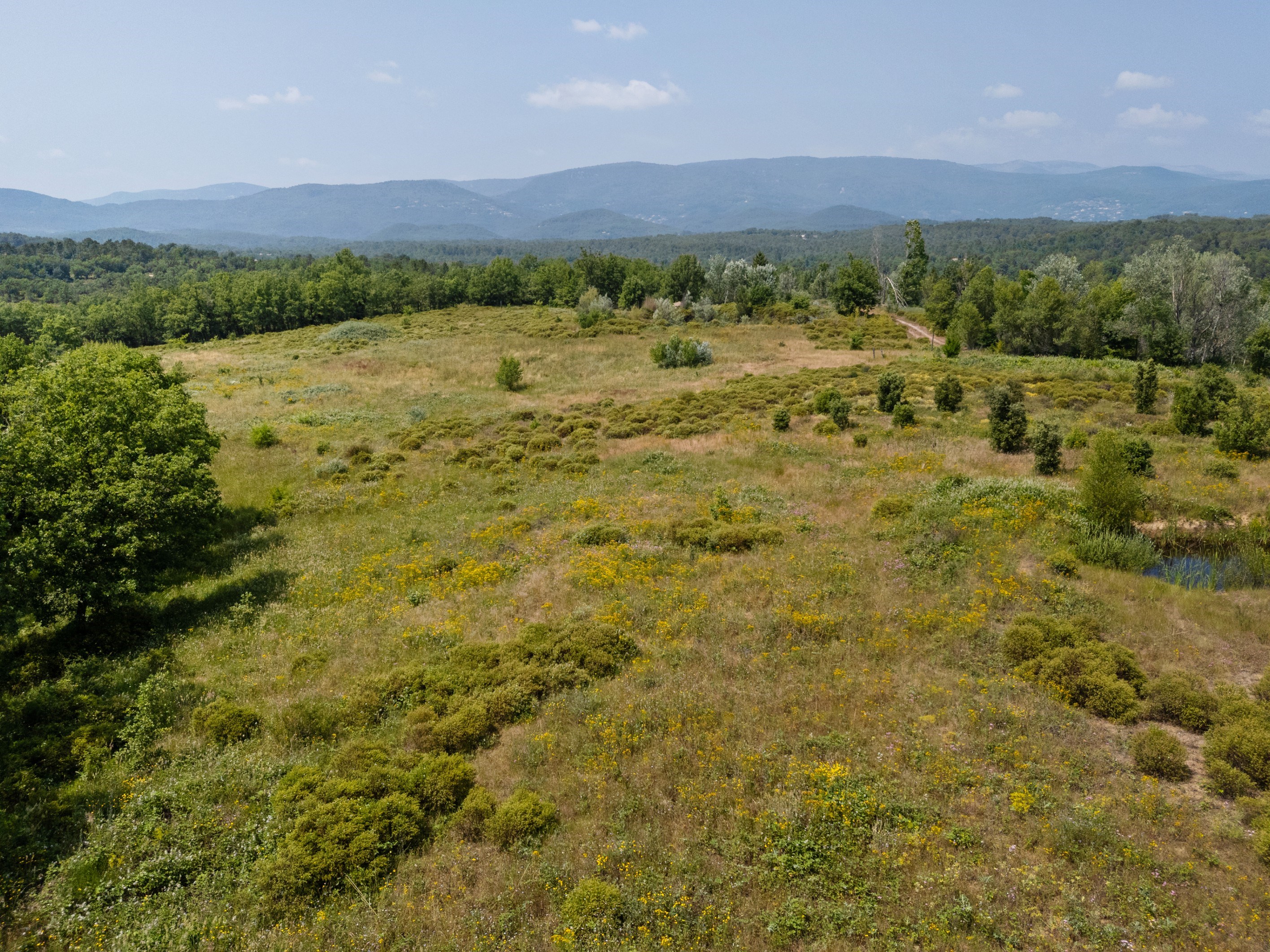  Organic estate with vineyard potential and panoramic views, over 44 Hectares in… - 物件實景