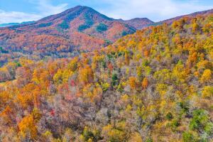 Fincastle, Virginia, 24090, United States, ,Residential,For Sale,1989448