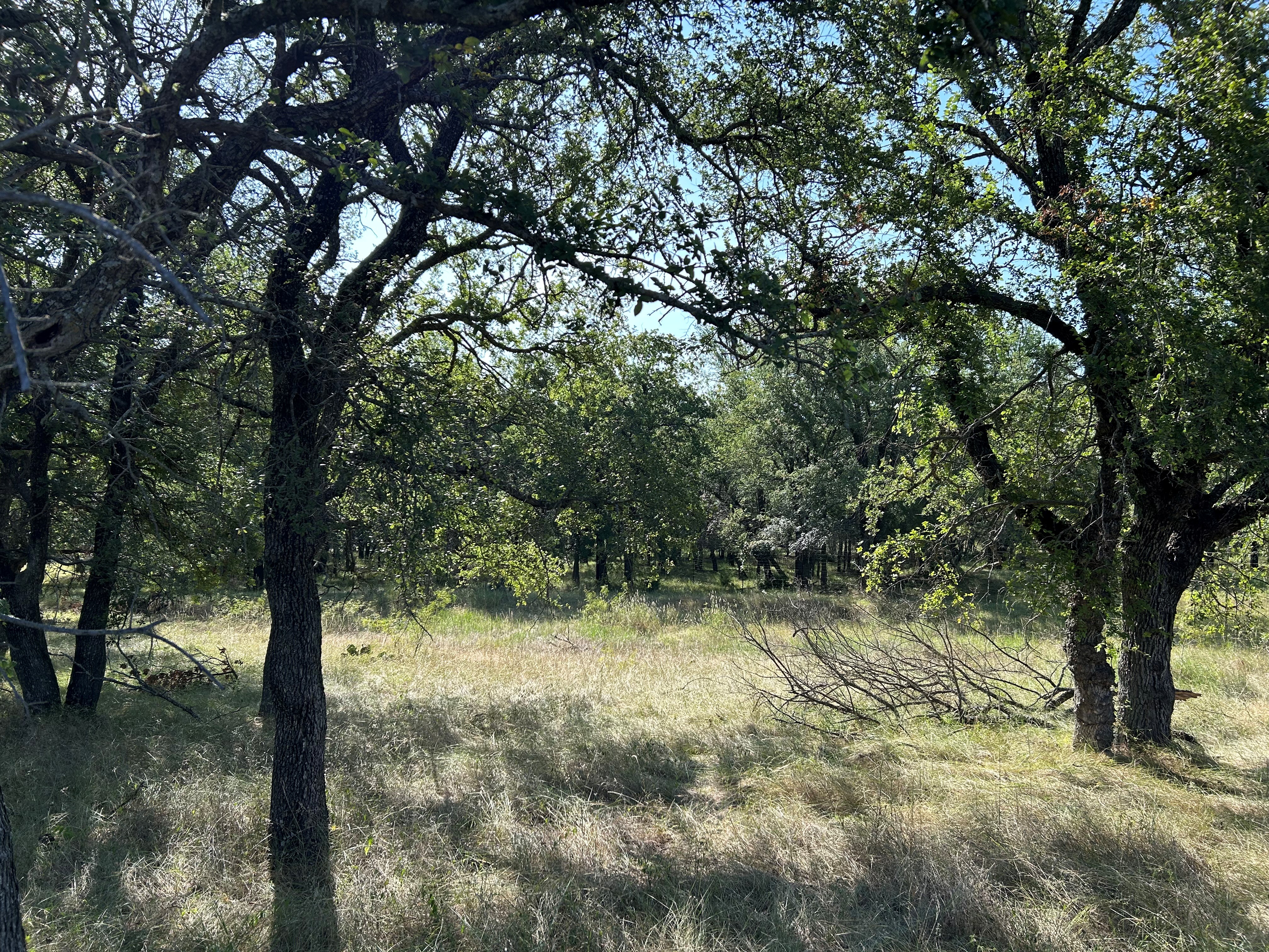 Bridgeport, Texas, 76426, United States, ,Land,For Sale,1981851