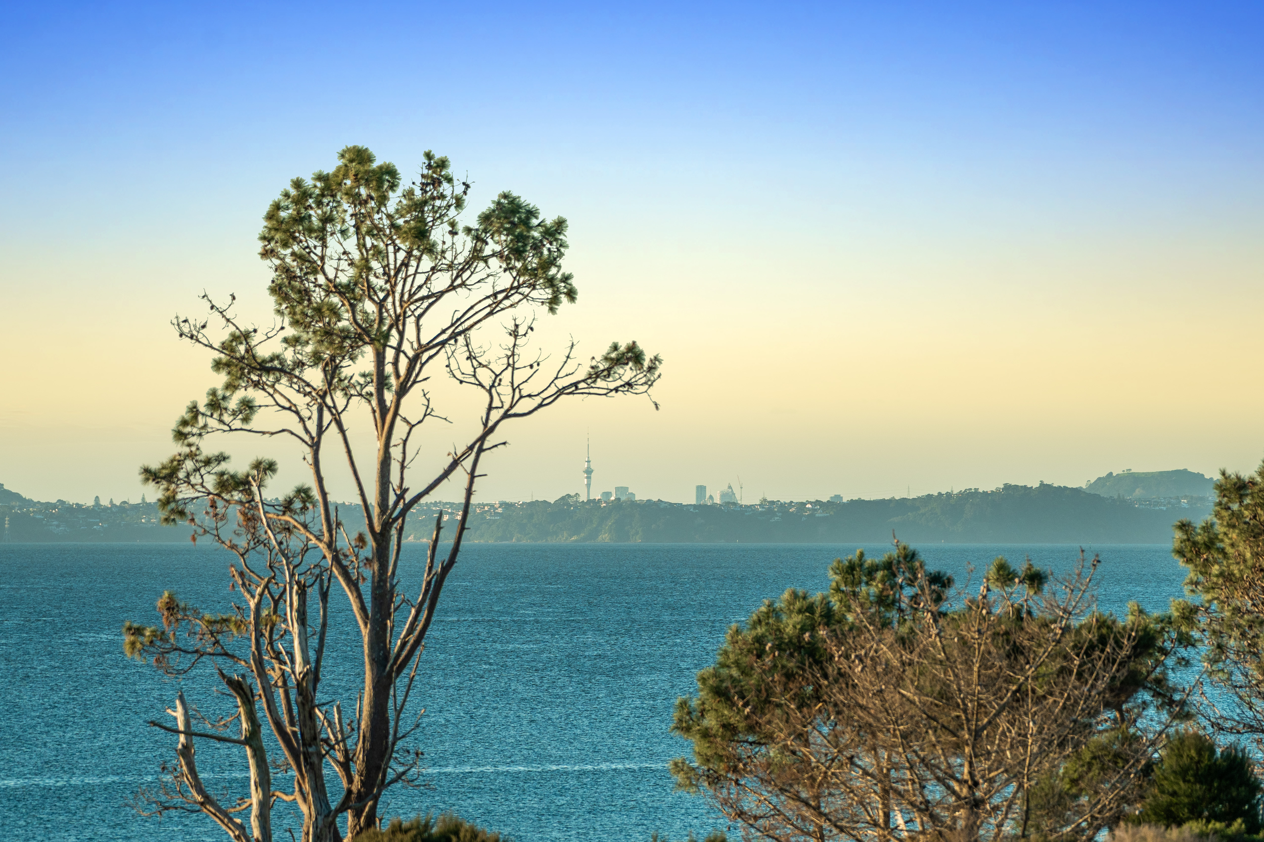  202G Big Bay Road, Manukau Heads - 物件實景