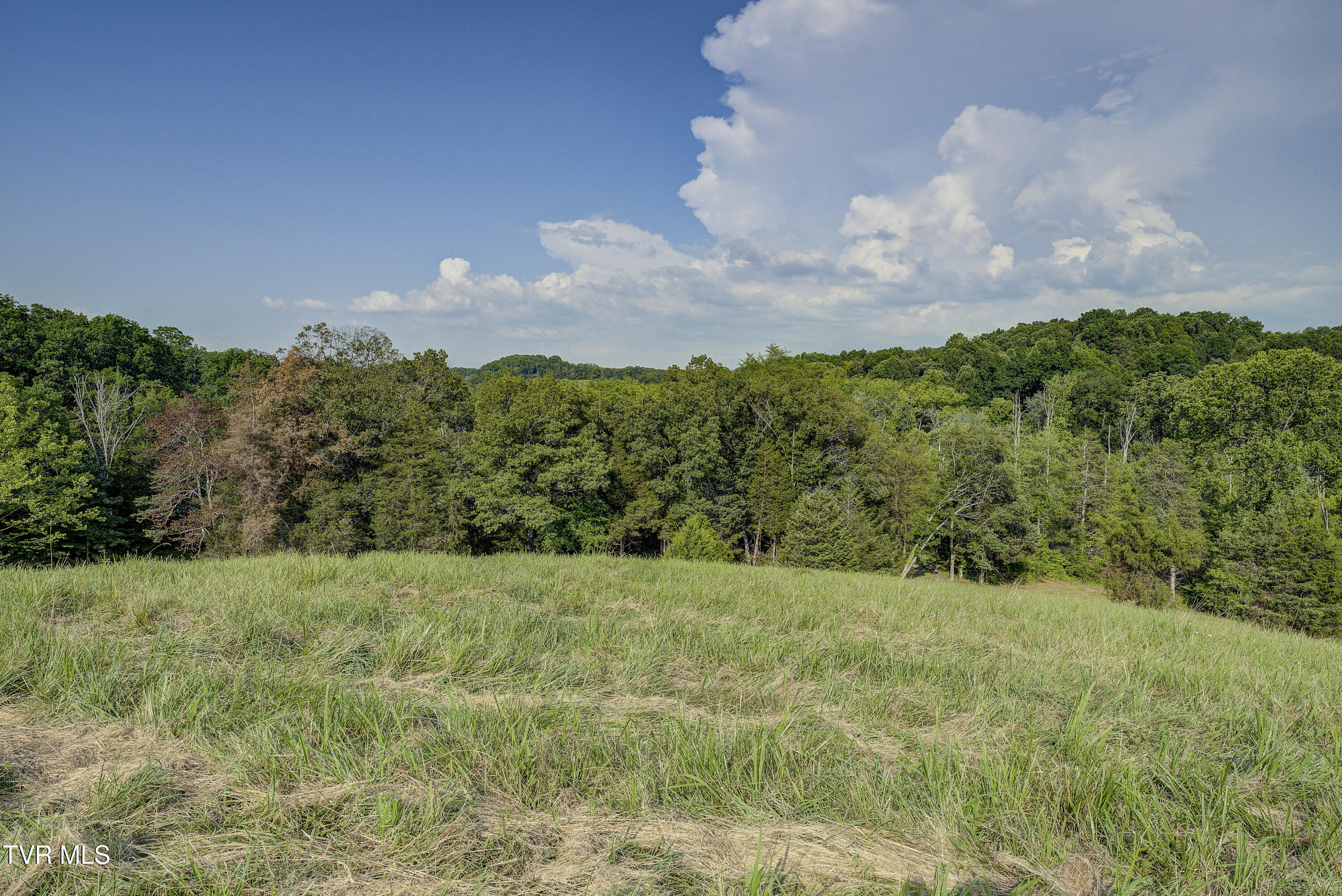 Piney Flats, Tennessee, 37686, United States, ,Land,For Sale,1983828