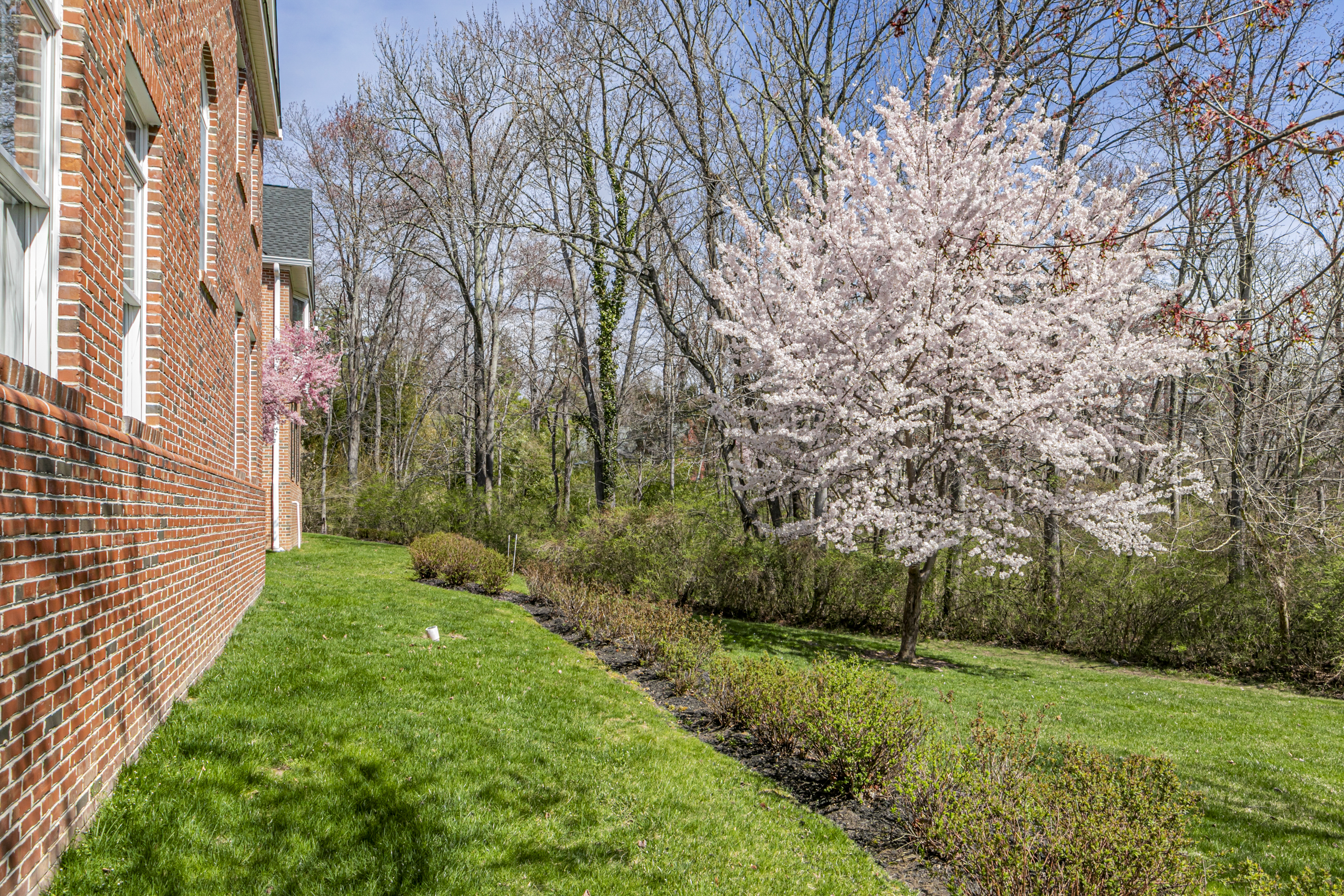  Exceptional Design and Thoughtful Updates in a Rare Governors Lane Offering - 物件實景