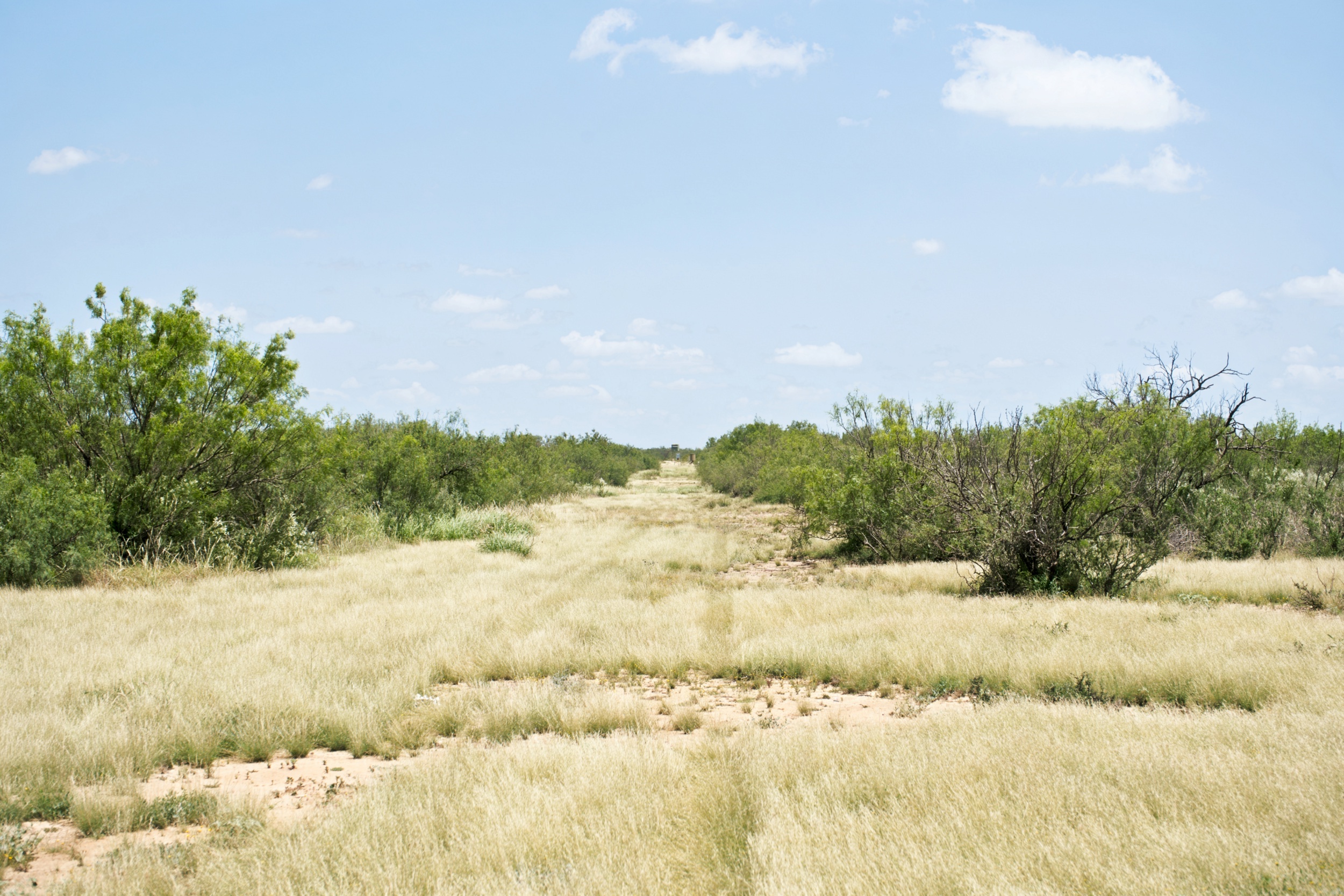  3,640+/- Acre Rosita Lake Ranch - 物件實景