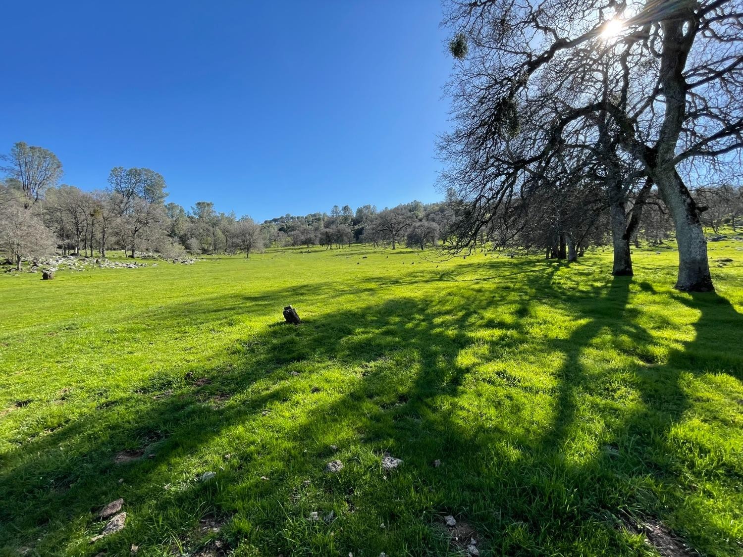 Vallecito, California, 95251, United States, ,Land,For Sale,1980651