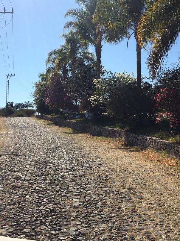 Manzana, Tecozautla, Hidalgo, 42440, Mexico, 1 Bedroom Bedrooms, ,Residential,For Sale,Manzana,1440911
