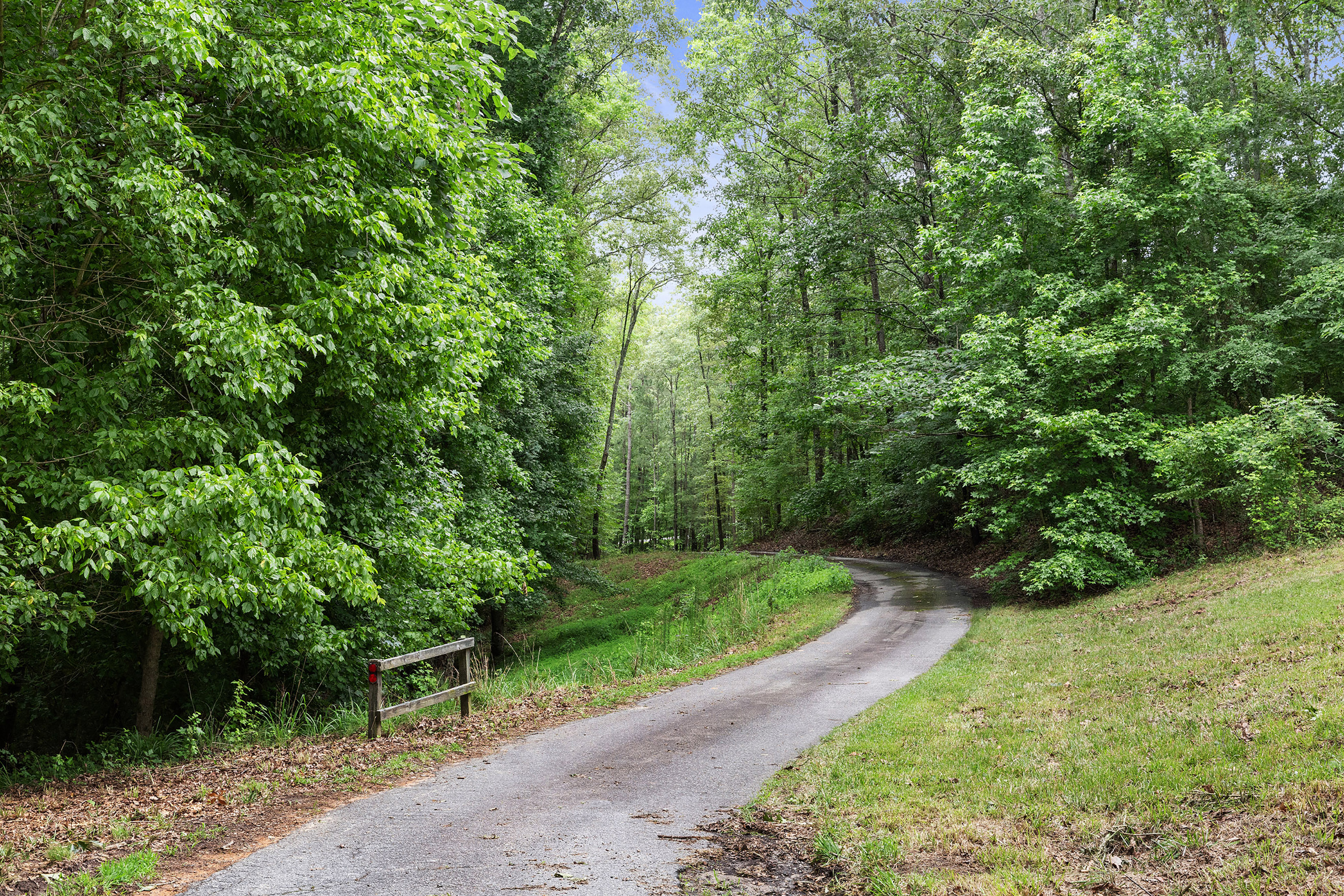  A Perfect Blend of Privacy and Natural Beauty in Newnan - 物件實景