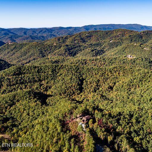 Sevierville, Tennessee, 37862, United States, 3 Bedrooms Bedrooms, ,3 BathroomsBathrooms,Residential,For Sale,1979377