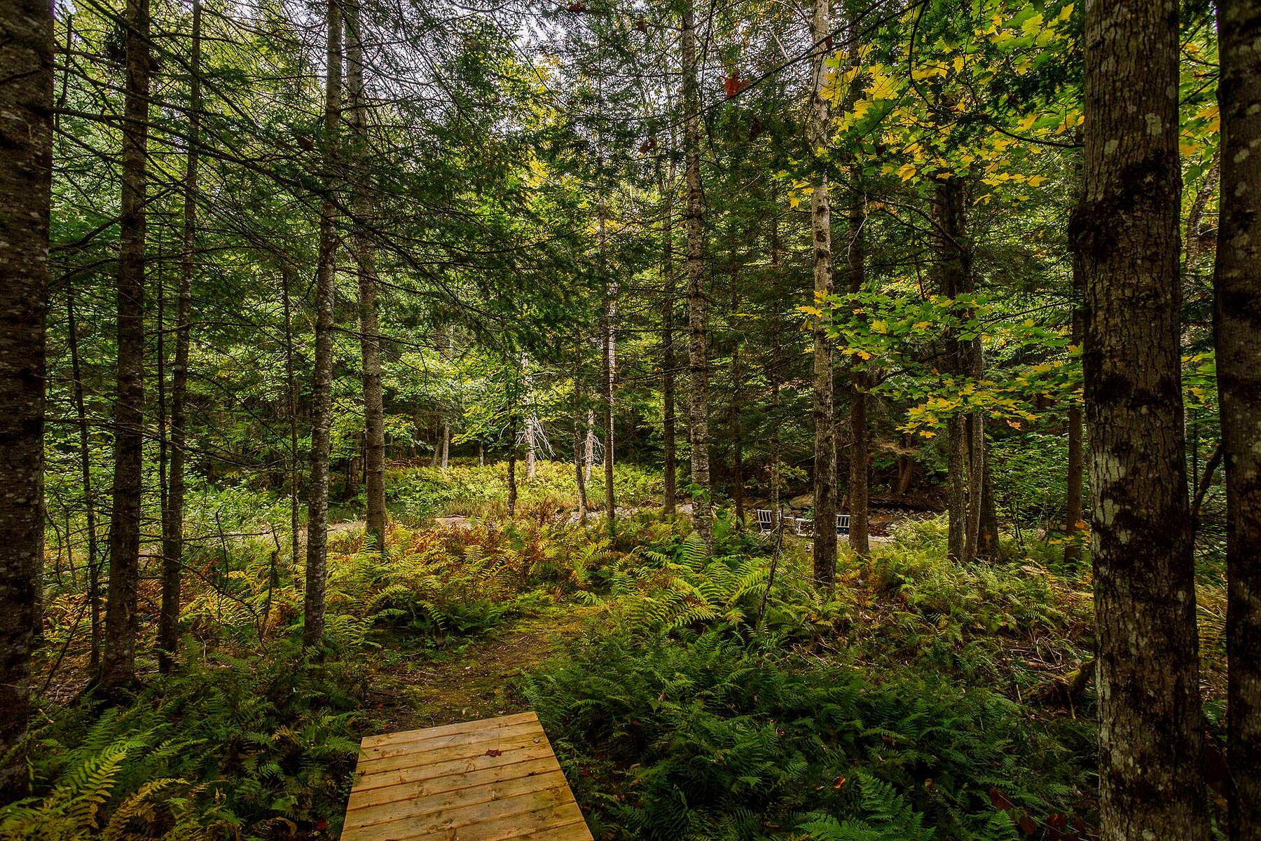  Eastman, Eastern Townships - 物件實景