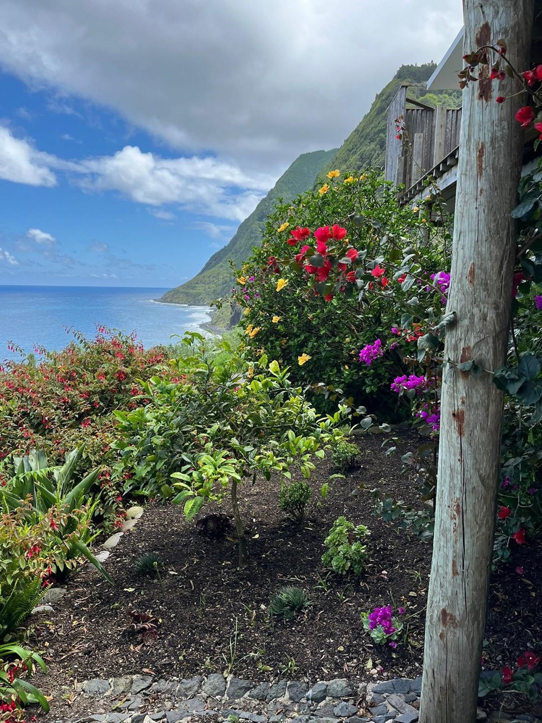 Nordeste, Ilha de São Miguel, PT, 3 Bedrooms Bedrooms, ,3 BathroomsBathrooms,Residential,For Sale,1882460