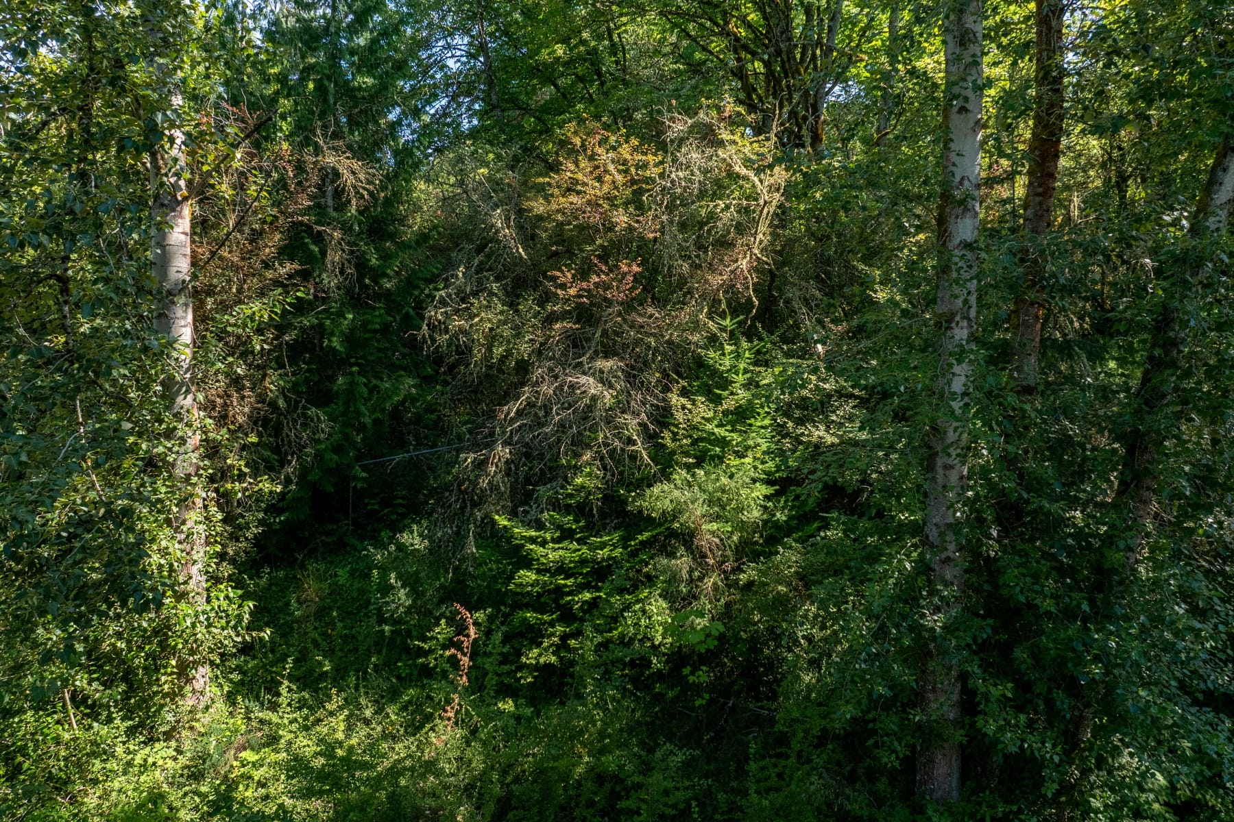  S POWERS-2 CT Portland, OR 97219 - 物件實景
