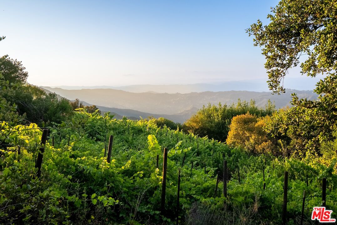 Topanga, California, 90290, United States, 4 Bedrooms Bedrooms, ,4 BathroomsBathrooms,Residential,For Sale,1902057