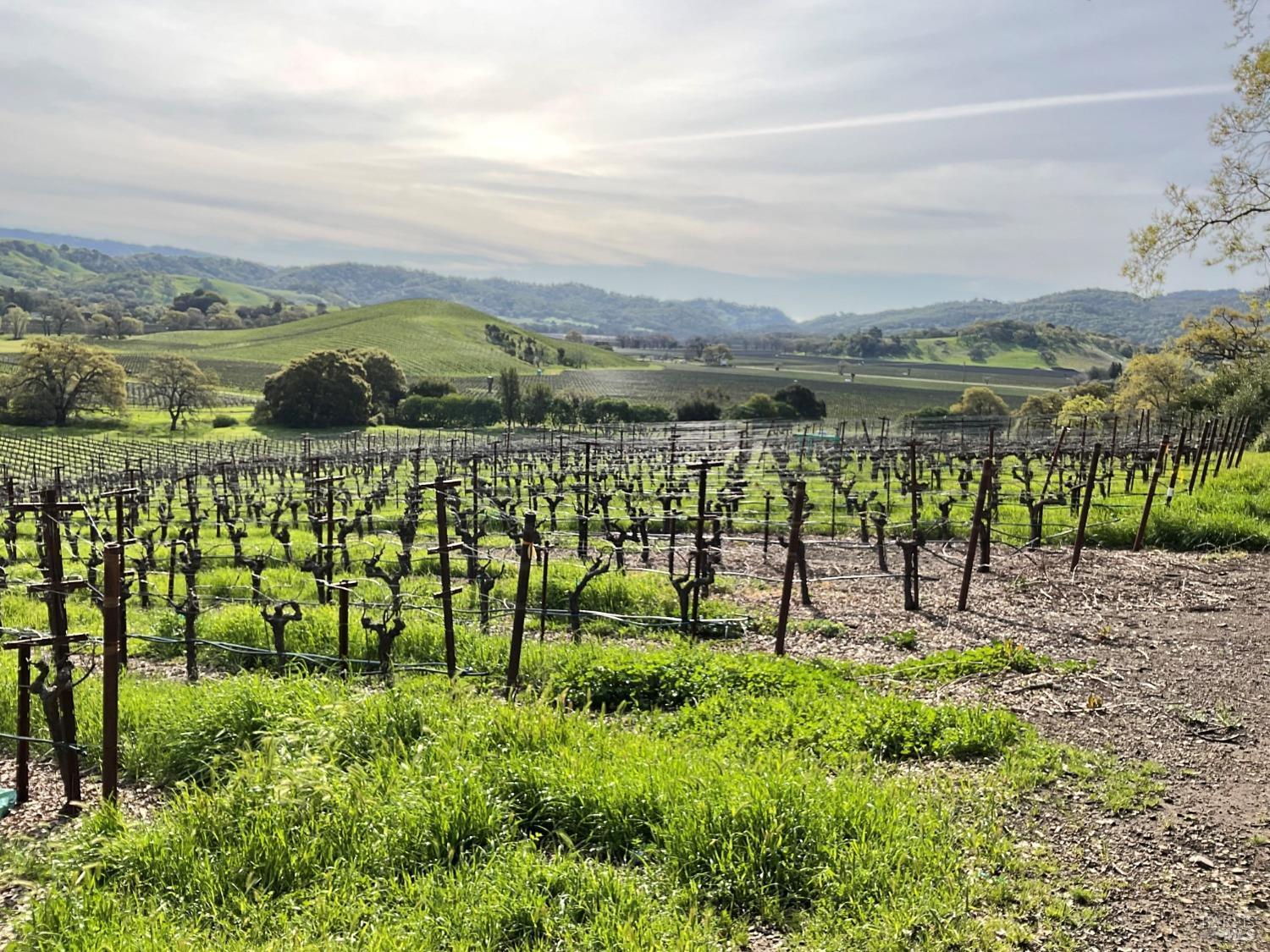 Napa, California, 94558, United States, 3 Bedrooms Bedrooms, ,3 BathroomsBathrooms,Residential,For Sale,1991897