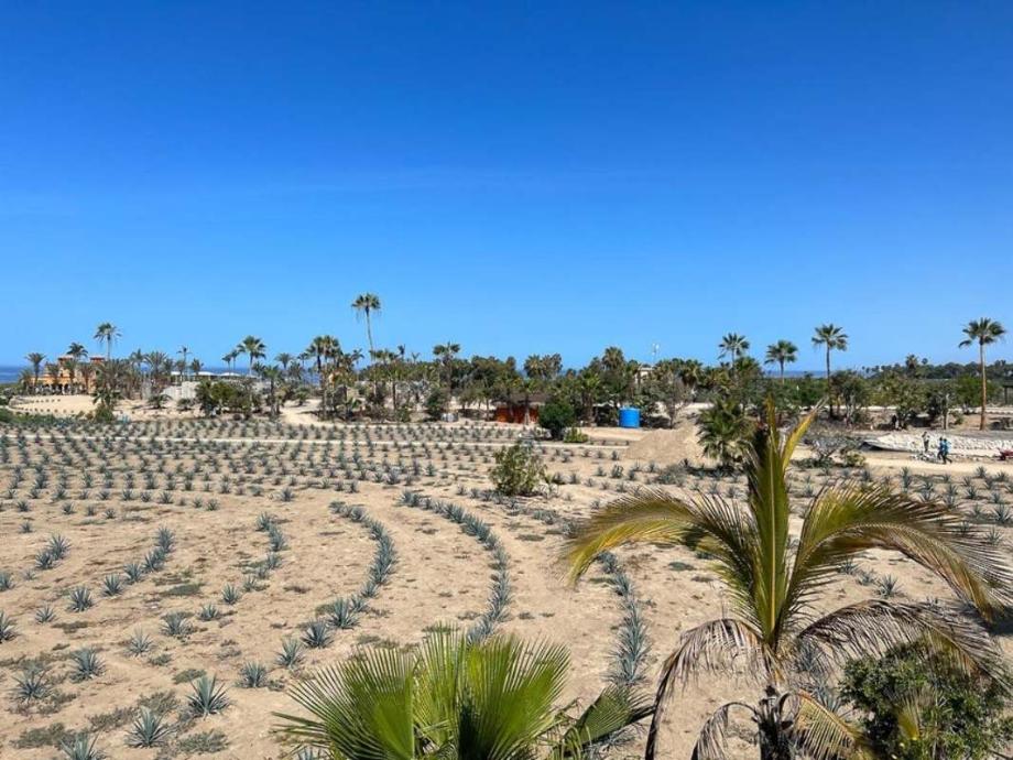 La Pastora Beach, La Paz, Baja California Sur, 23300, Mexico, 1 Bedroom Bedrooms, ,Residential,For Sale,La Pastora Beach,1417142