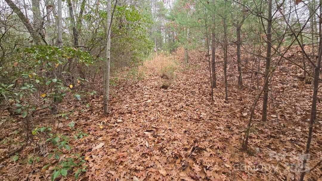 Saluda, North Carolina, 28773, United States, 3 Bedrooms Bedrooms, ,3 BathroomsBathrooms,Residential,For Sale,1978882