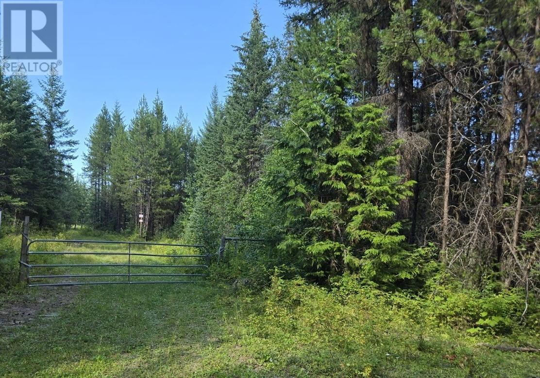 FALKLAND, British Columbia, V0E 1W1, CA, ,Residential,For Sale,1906760
