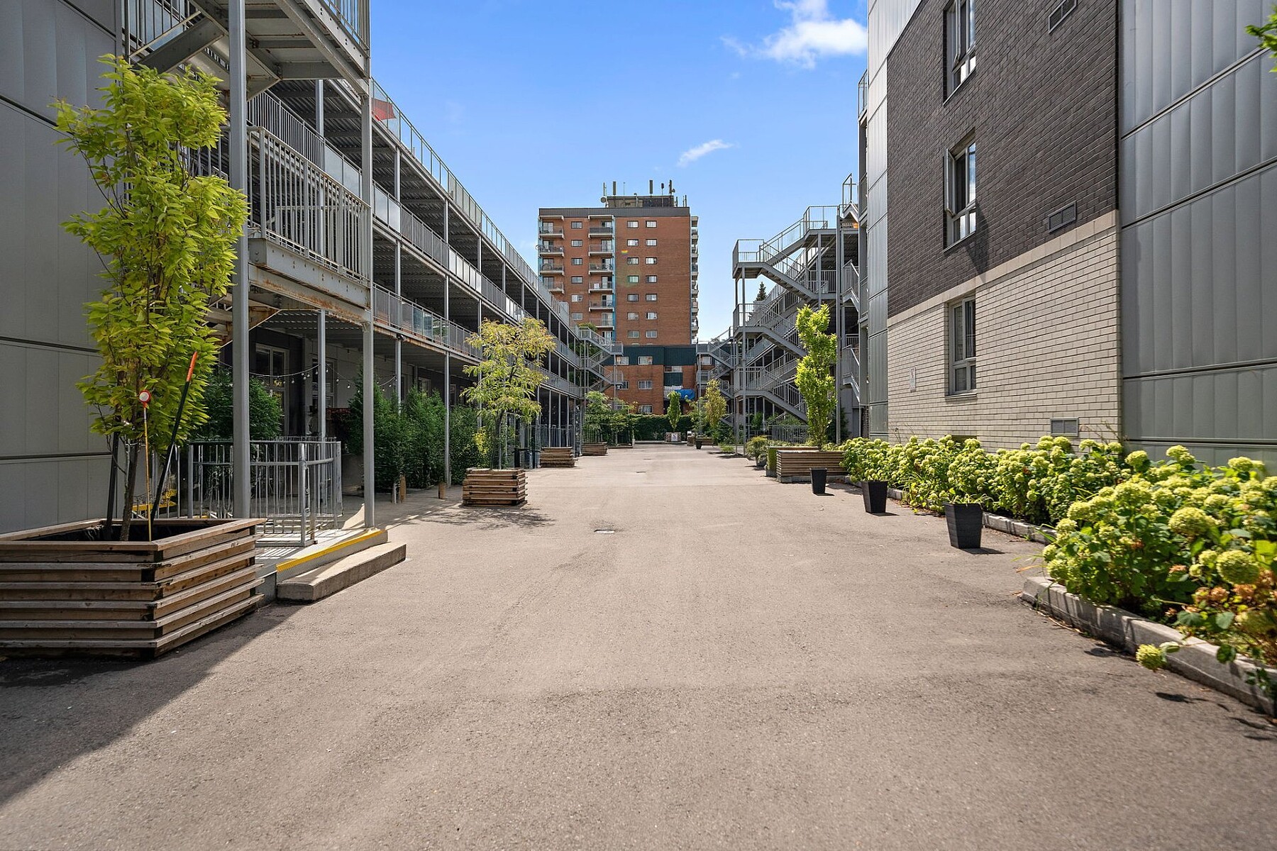  Mercier / Hochelaga-Maisonneuve, Montréal - 物件實景