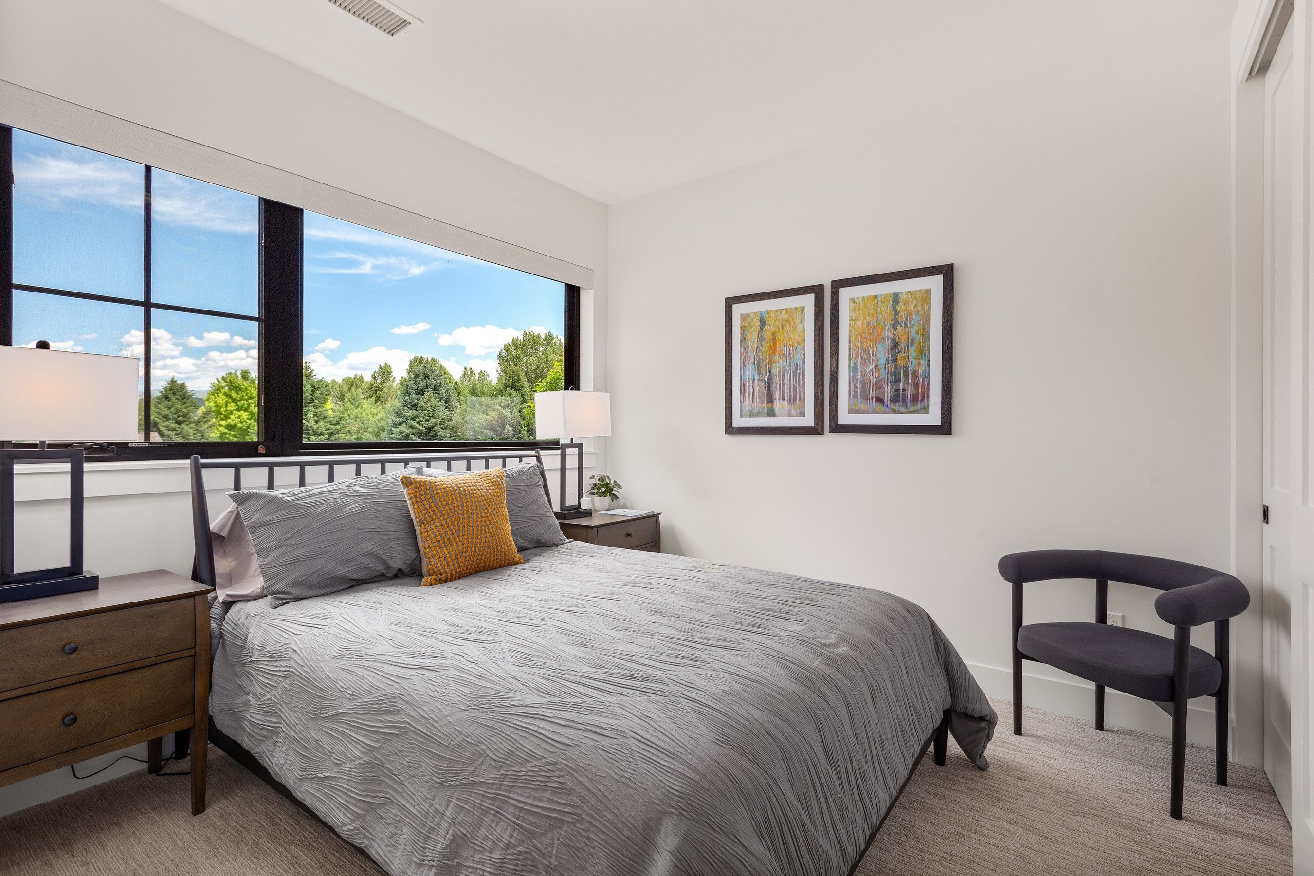  303 Golden Bear Drive, Carbondale, CO 81623 - 物件實景