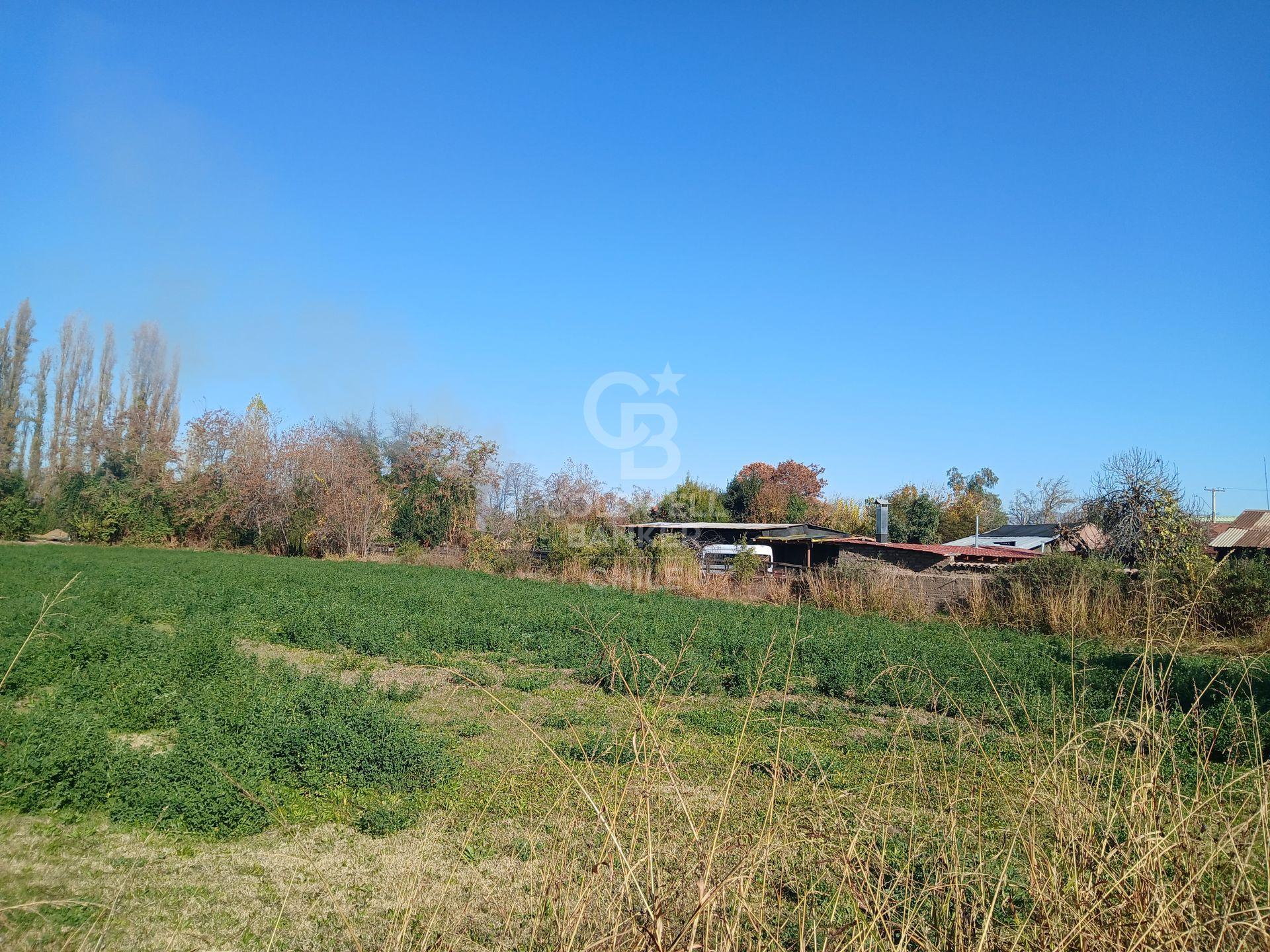 San Esteban, Chile, ,Land,For Sale,1926022