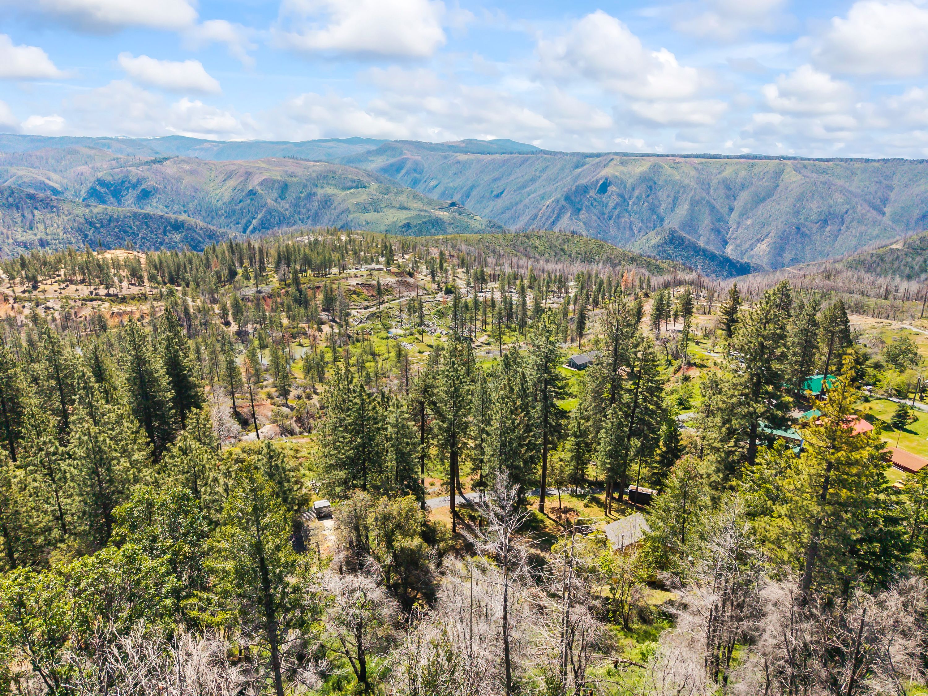  30155 Turkey Hill Road, Foresthill, CA 95631 - 物件實景