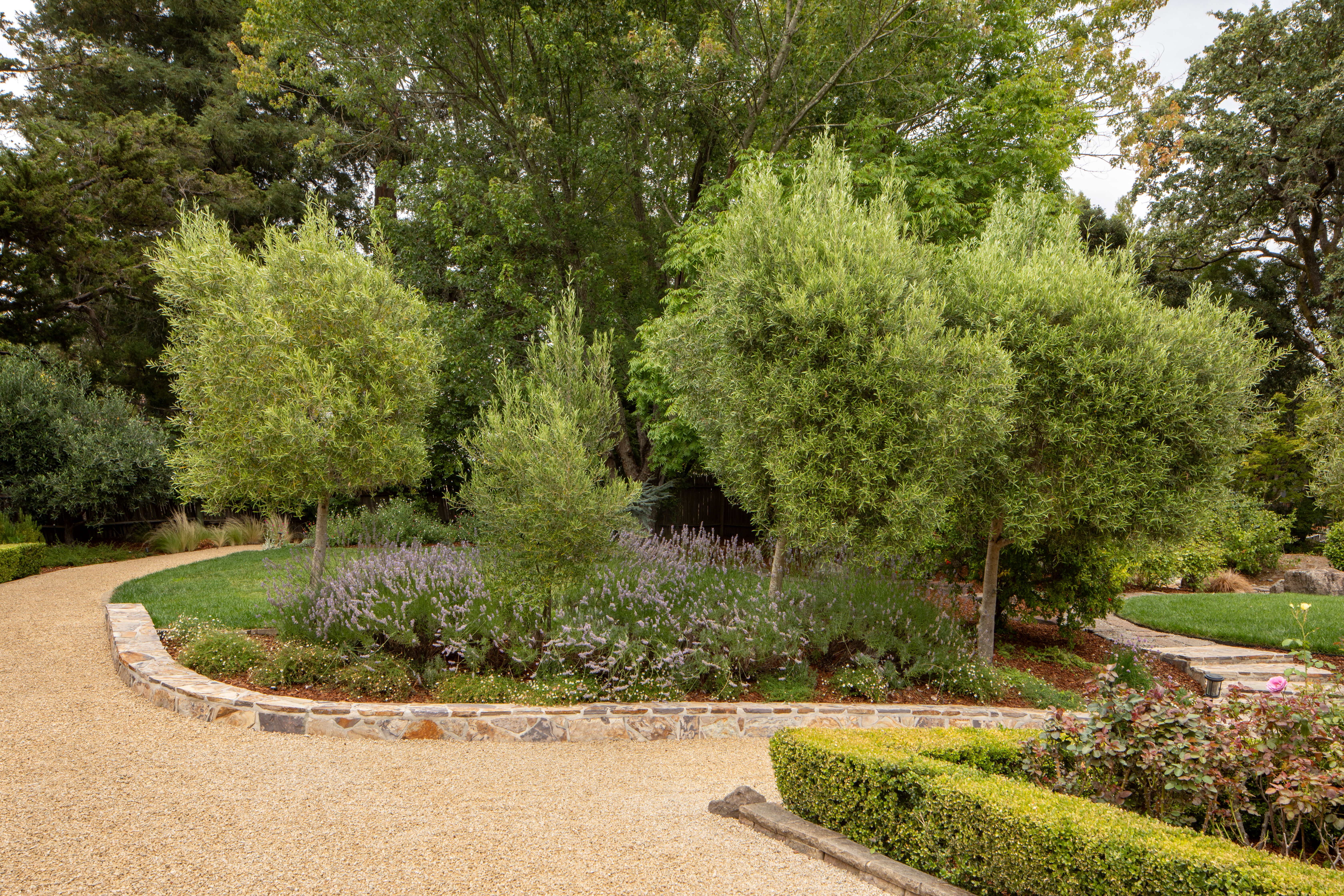  Private Orinda Retreat - 物件實景
