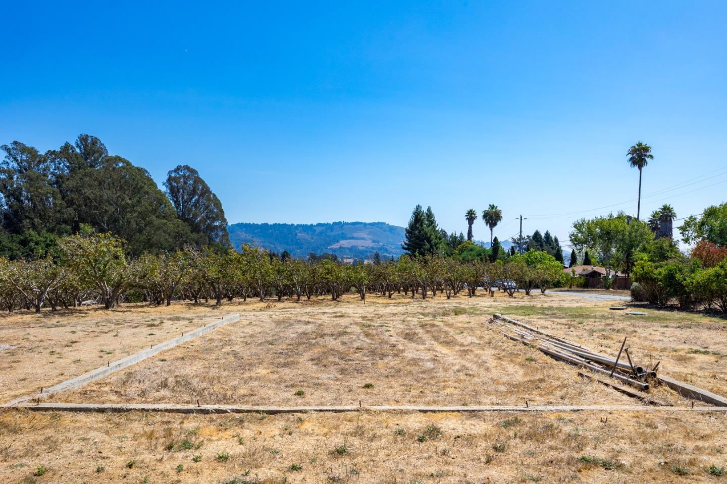 Watsonville, California, 95076, United States, ,Land,For Sale,1942111
