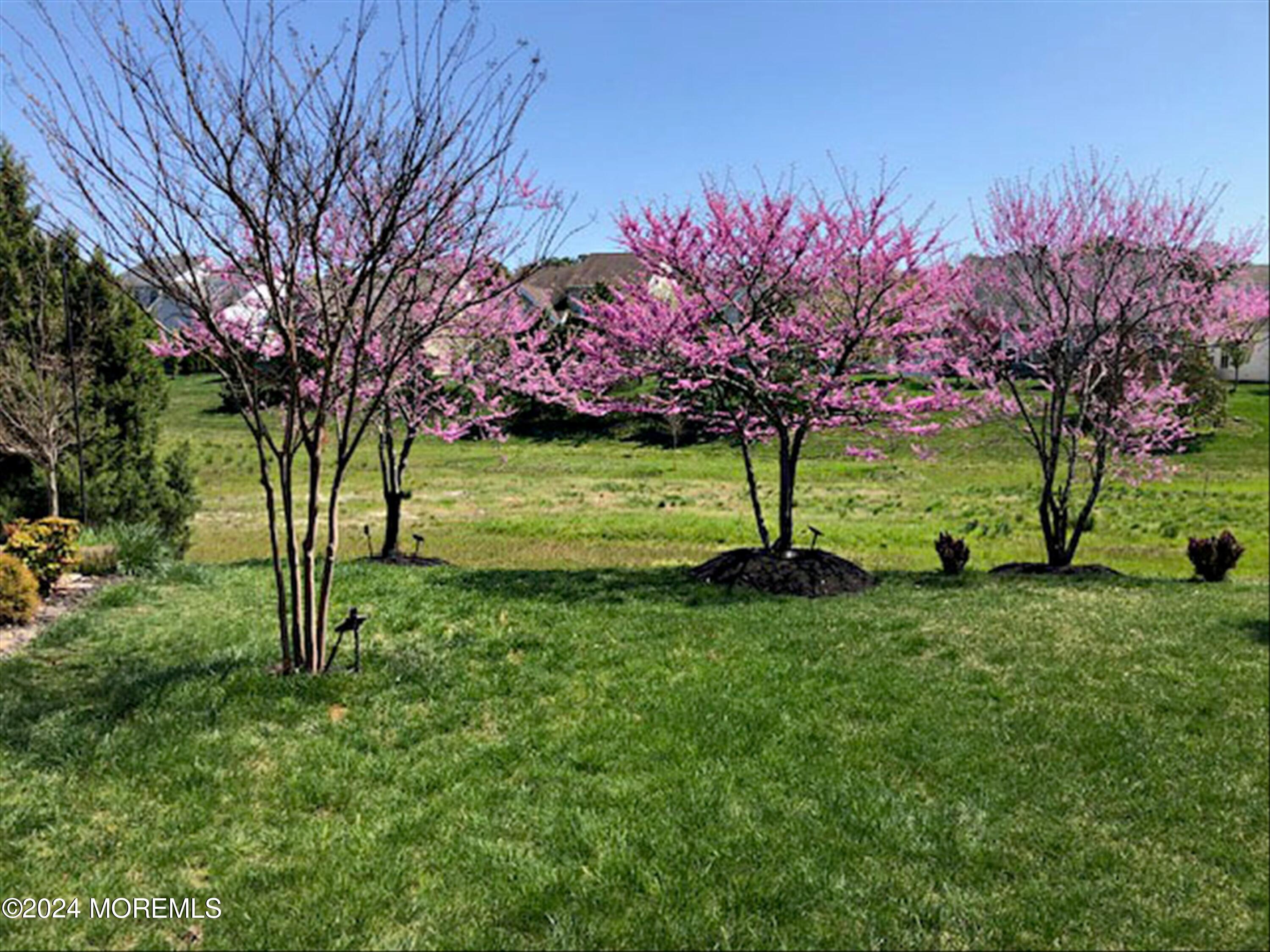 Forked River, New Jersey, 08731, United States, 2 Bedrooms Bedrooms, ,2 BathroomsBathrooms,Residential,For Sale,1921741