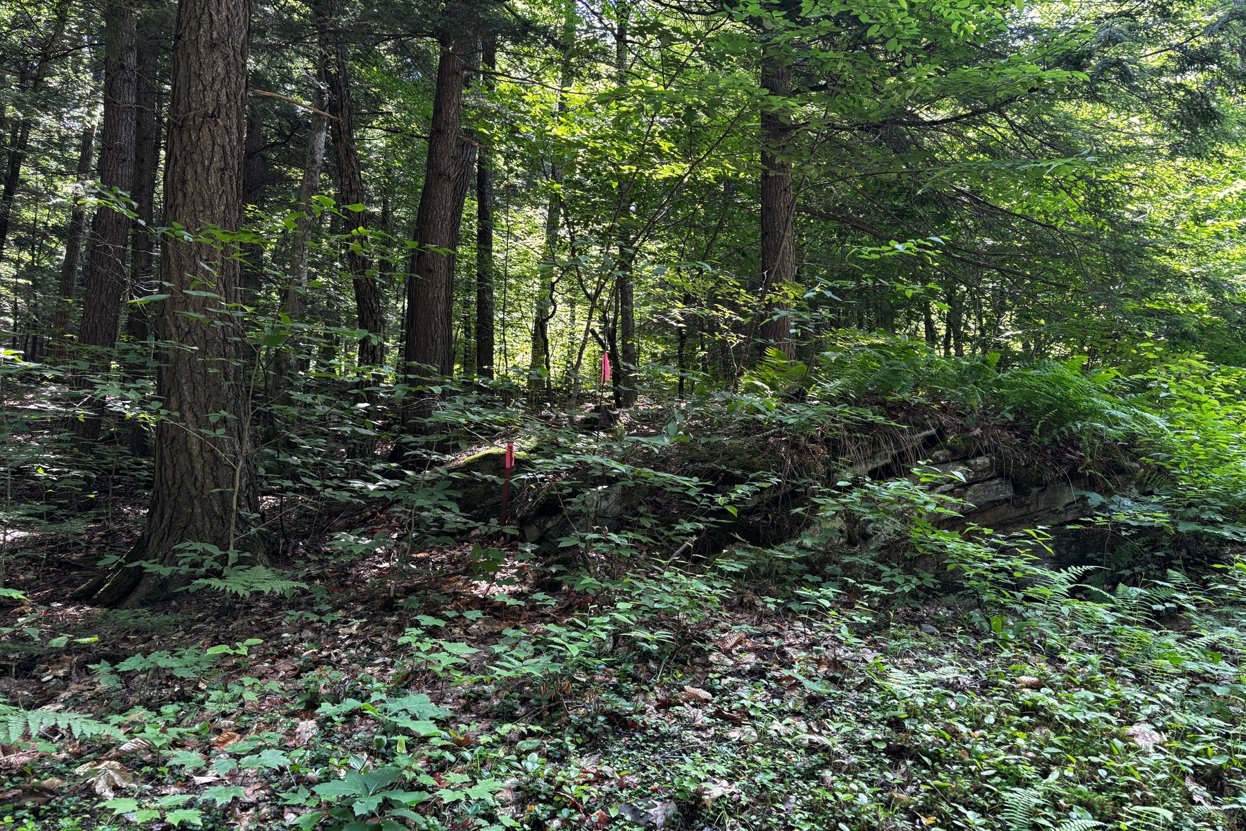  27 acres with close to Chester Village and Skiing - 物件實景