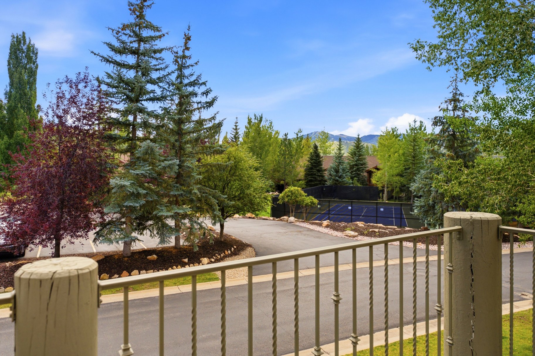  Park Meadows Gem With Big Views to the Mountains - 物件實景