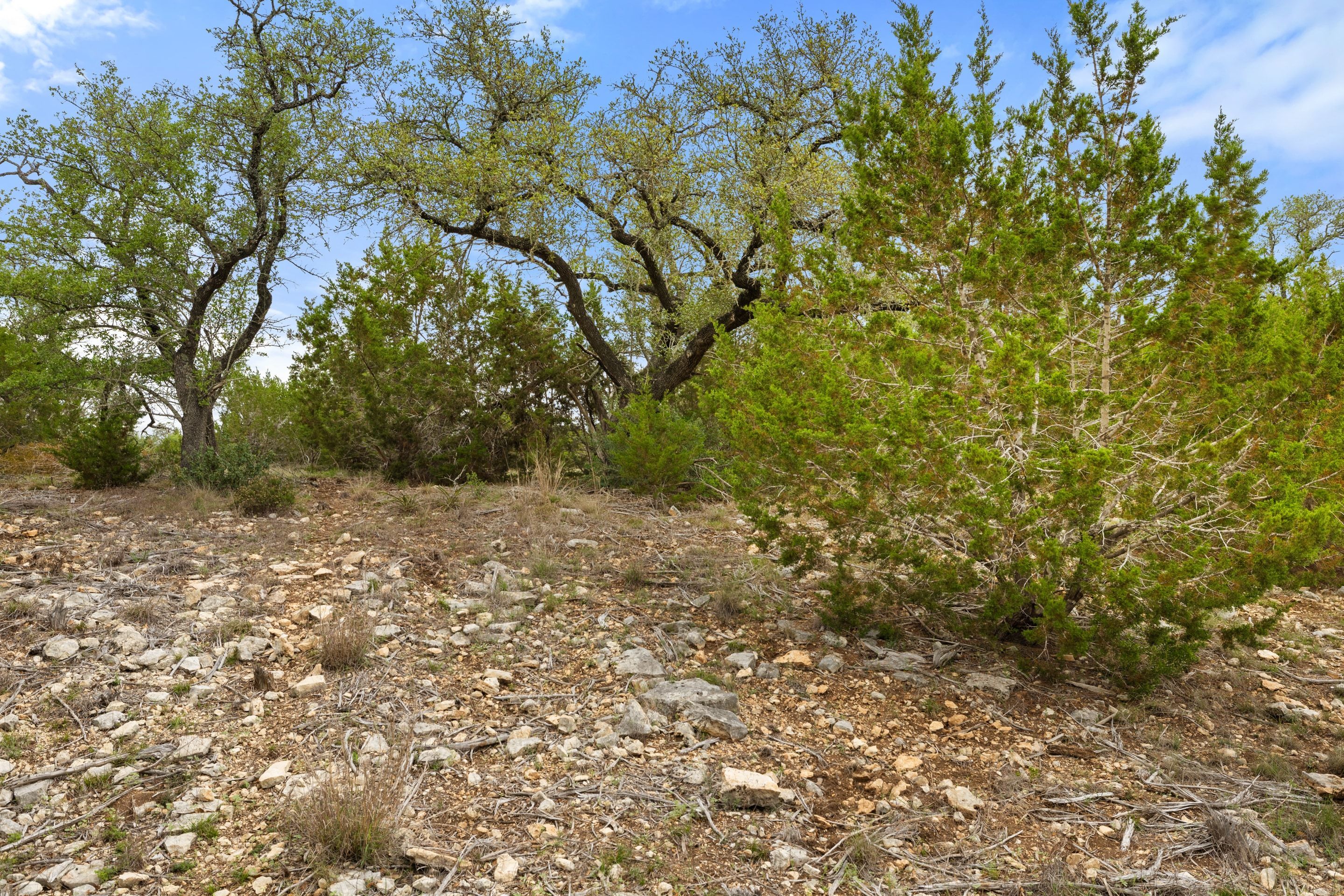  83 S Flat Rock Way - 5 Acre Lot in Gated Legacy Hills - 物件實景