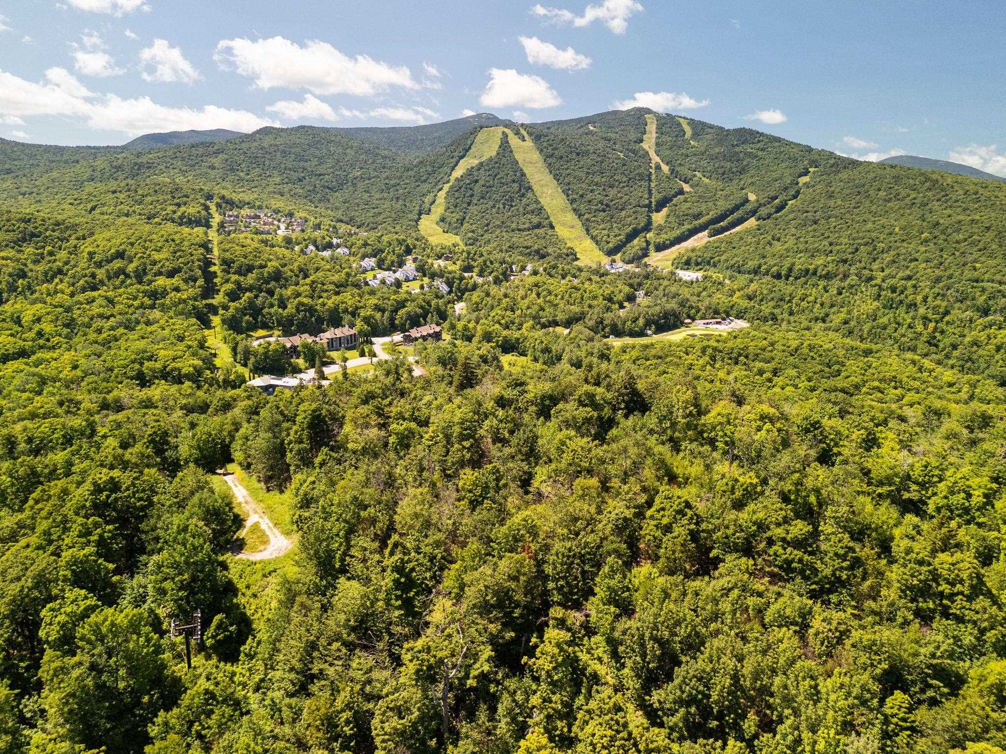 1 Falls Brook Road - 物件實景