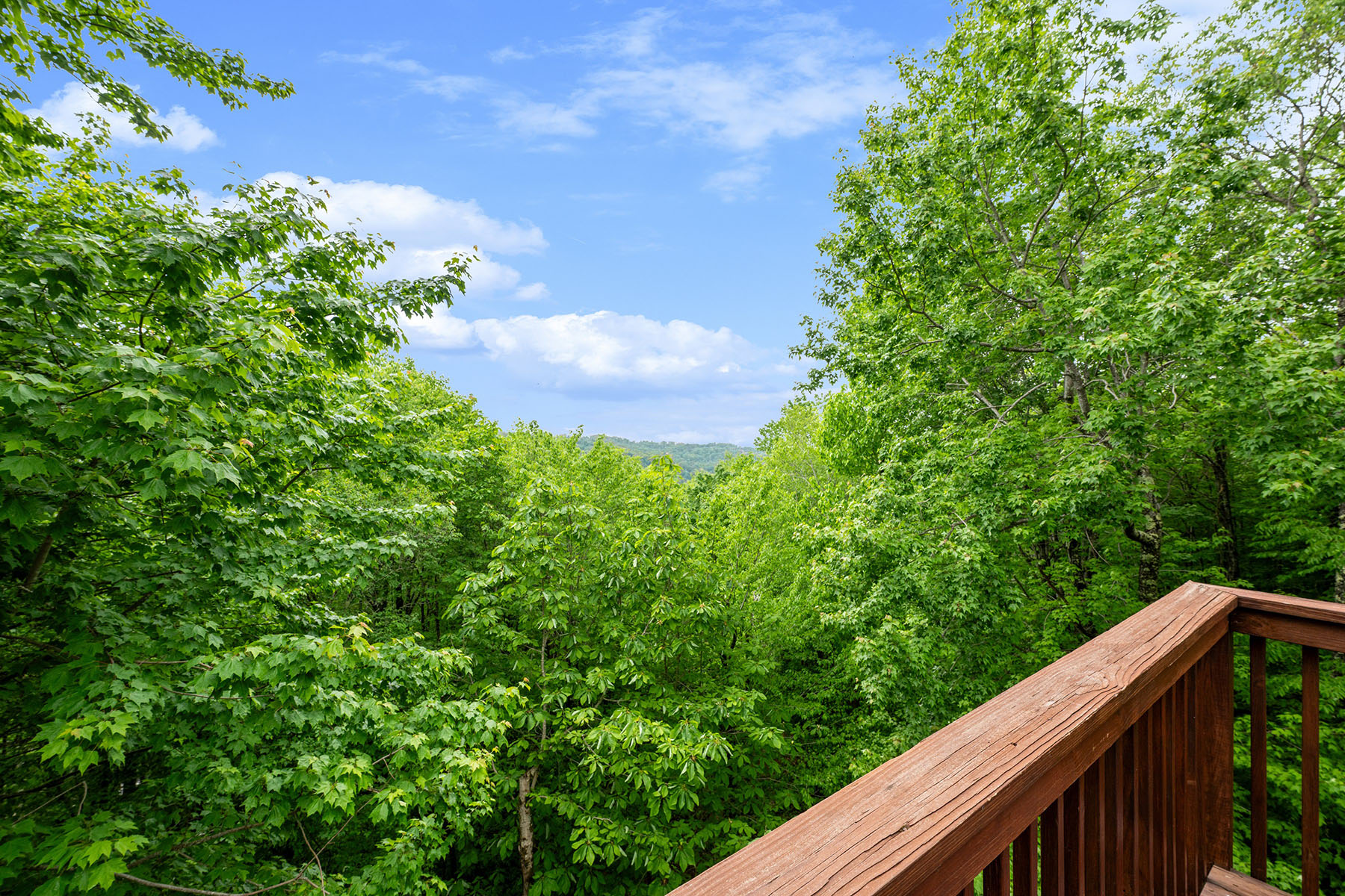  BEECH MOUNTAIN - 物件實景