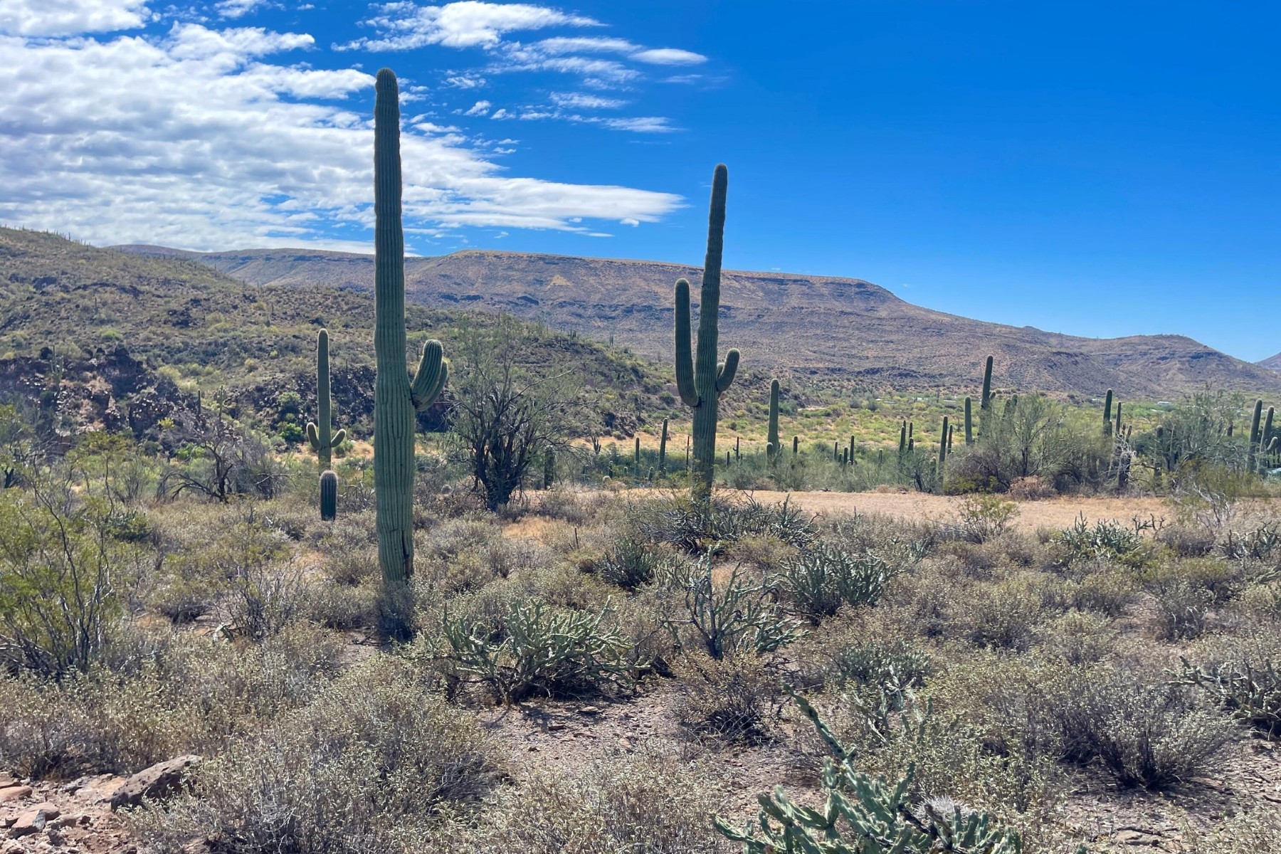  31900 S Tillys Trail¦Black Canyon City, AZ - 物件實景