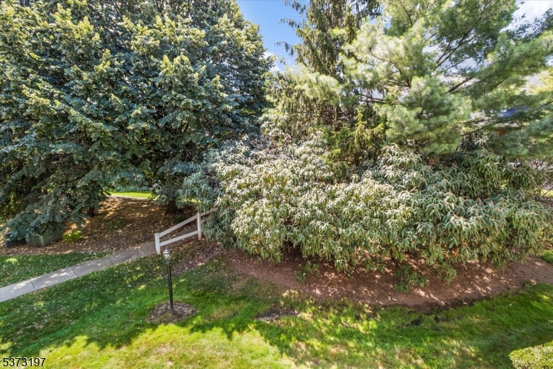 Clifton, New Jersey, 07012, United States, 3 Bedrooms Bedrooms, ,3 BathroomsBathrooms,Residential,For Sale,1937751