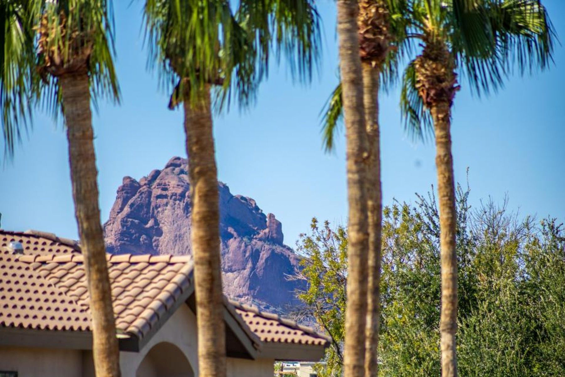  7601 E Indian Bend Road¦Scottsdale, AZ - 物件實景