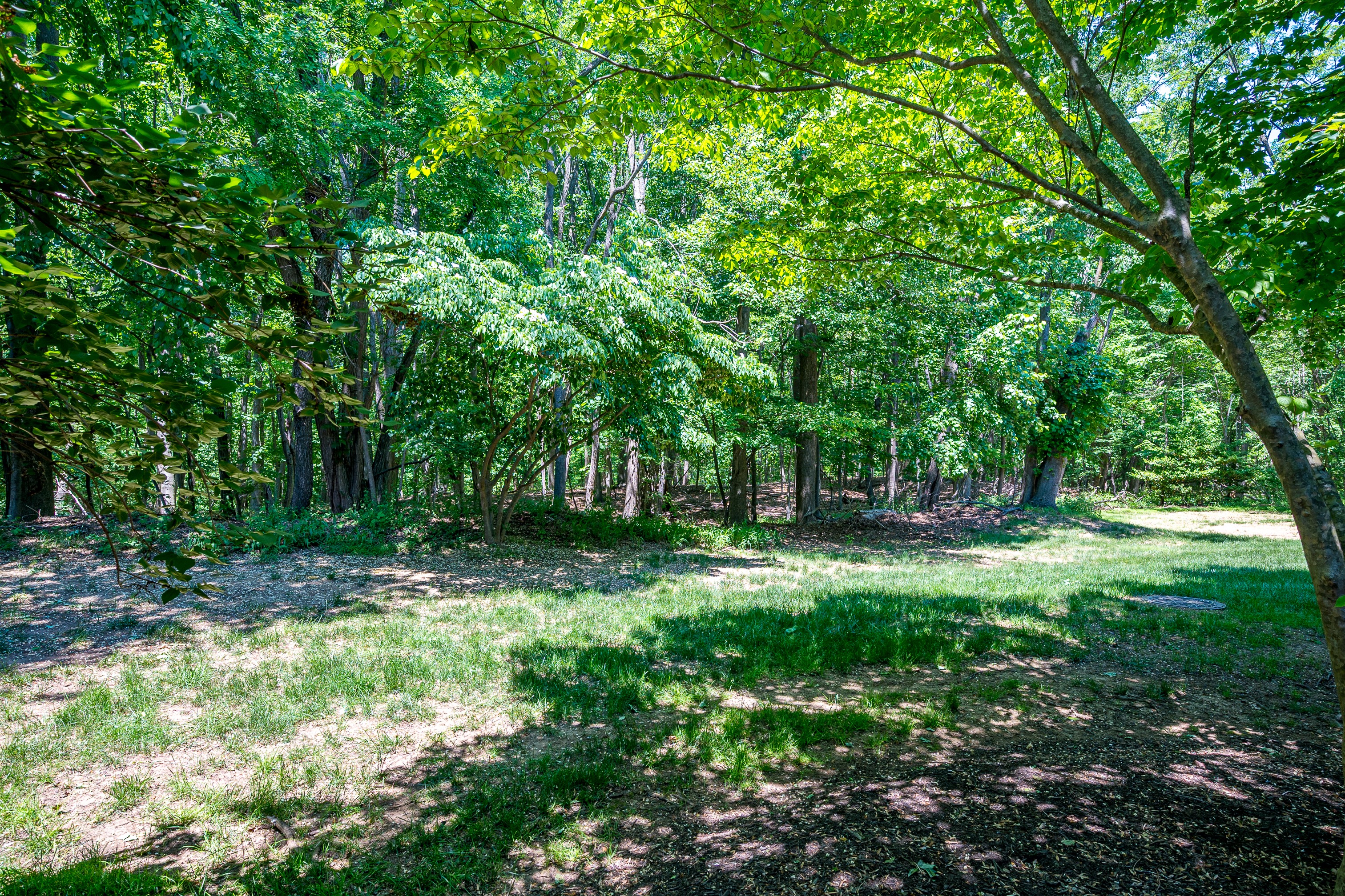  116 Sequoia Woods Court - 物件實景