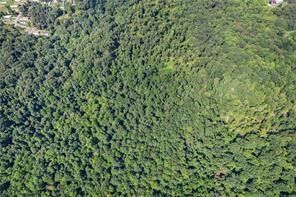 Penn Twp - BUT, Pennsylvania, 16002, United States, ,Residential,For Sale,1794987